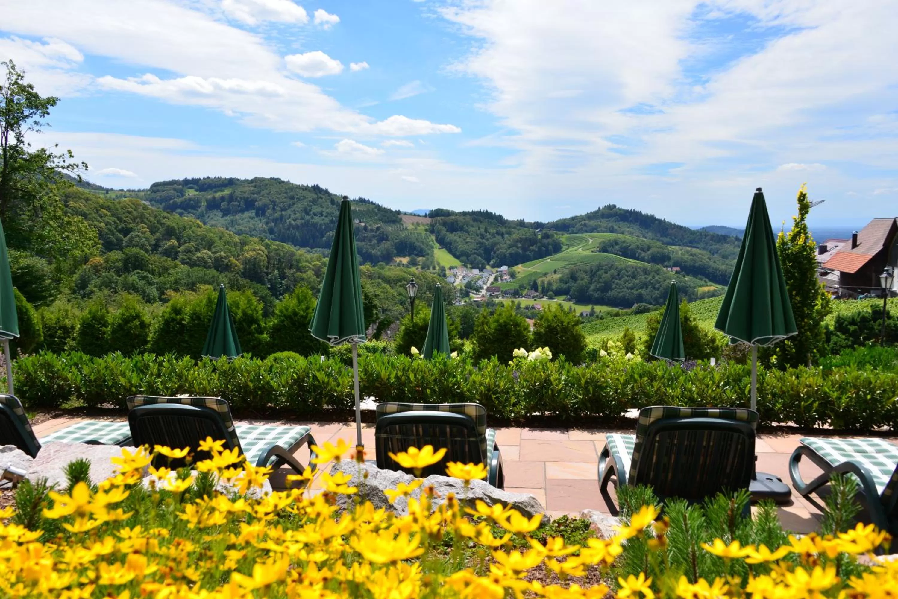 Garden view in RelaxHotel Tannenhof