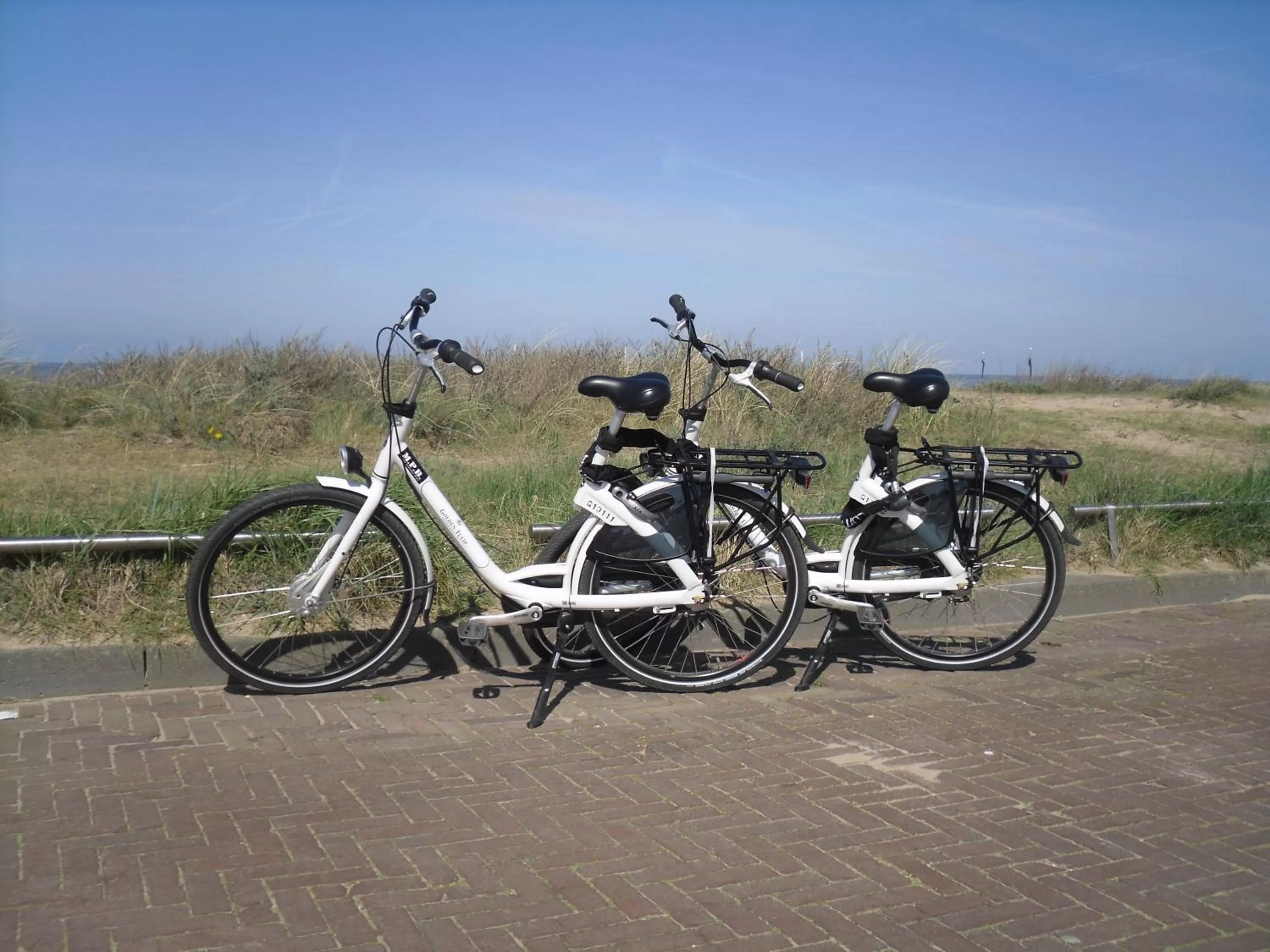 Cycling in Two Brothers Noordwijk Beach