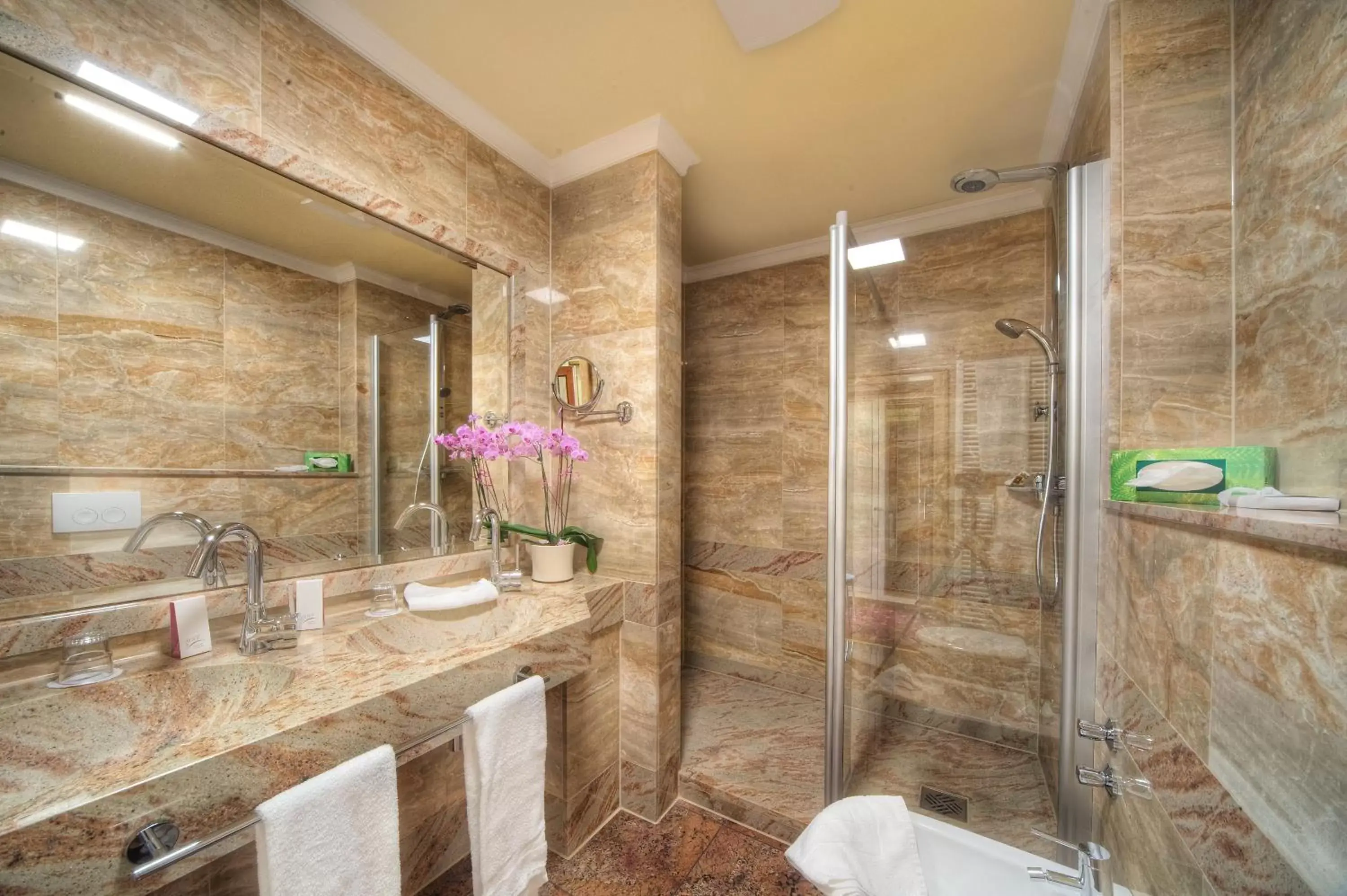 Double Room with Mountain View in Häcker's Hotel Double Room with Mountain View in Häcker's Hotel