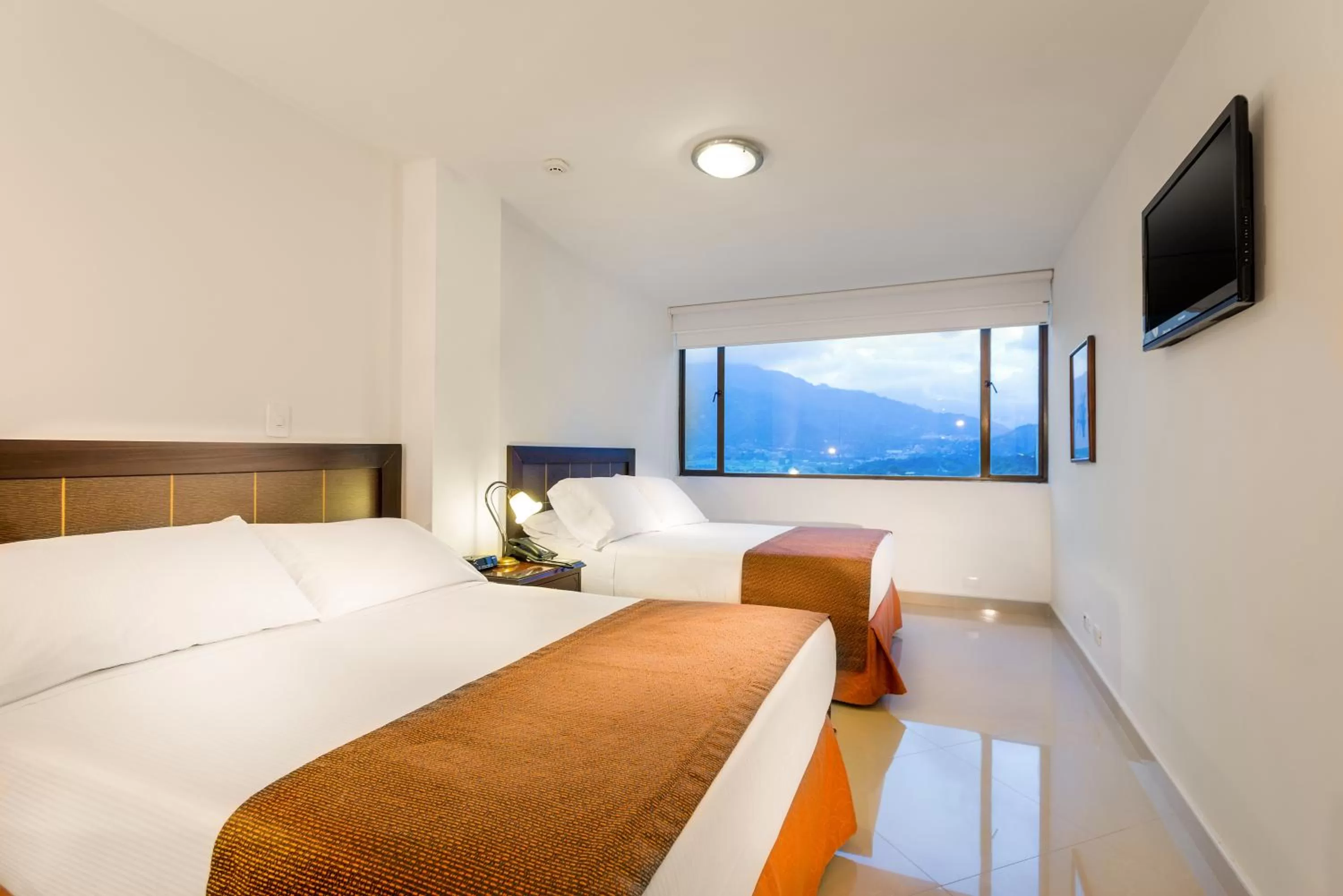 Bed in Hotel Dann Combeima