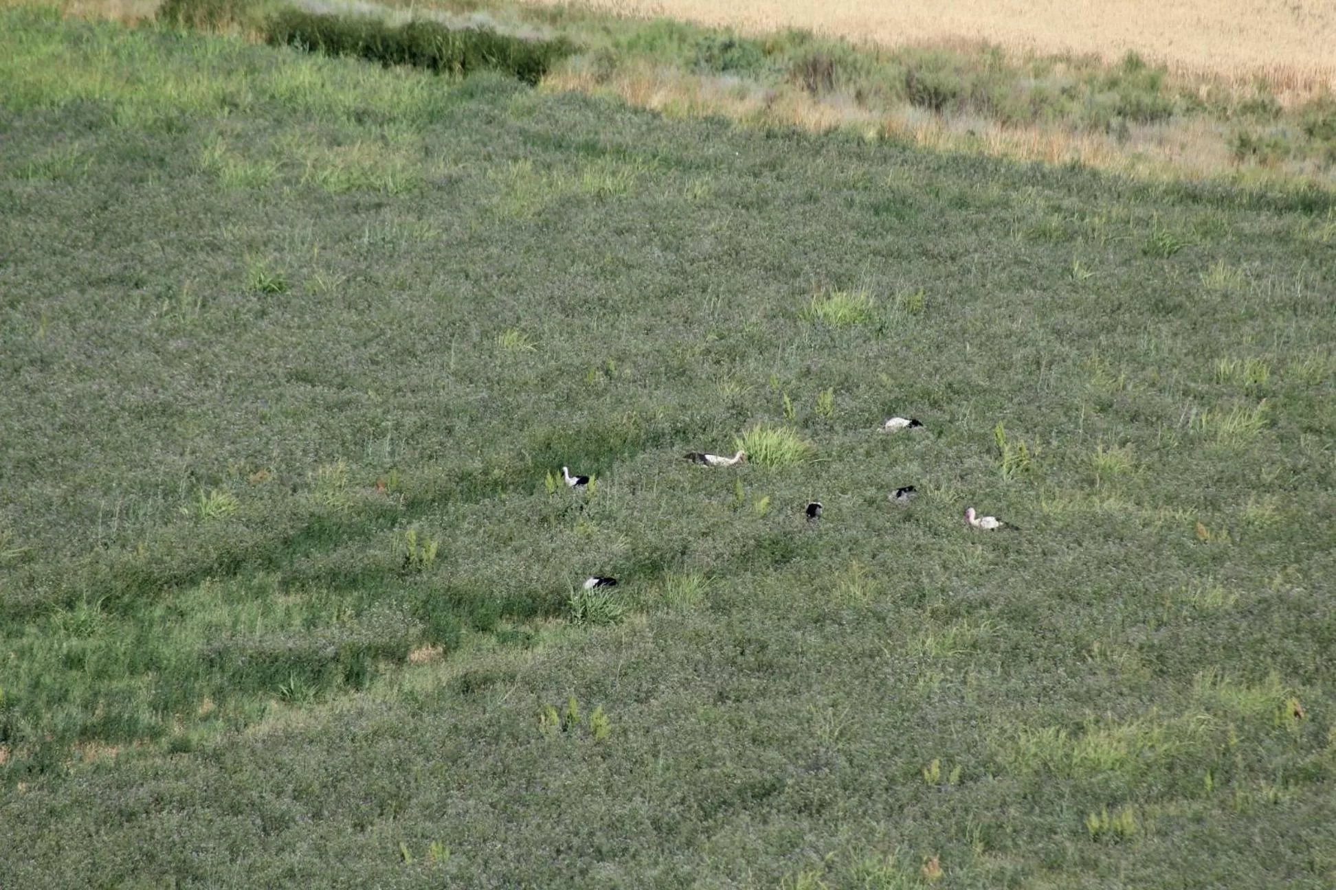 Ruzanna's Bed & Breakfast