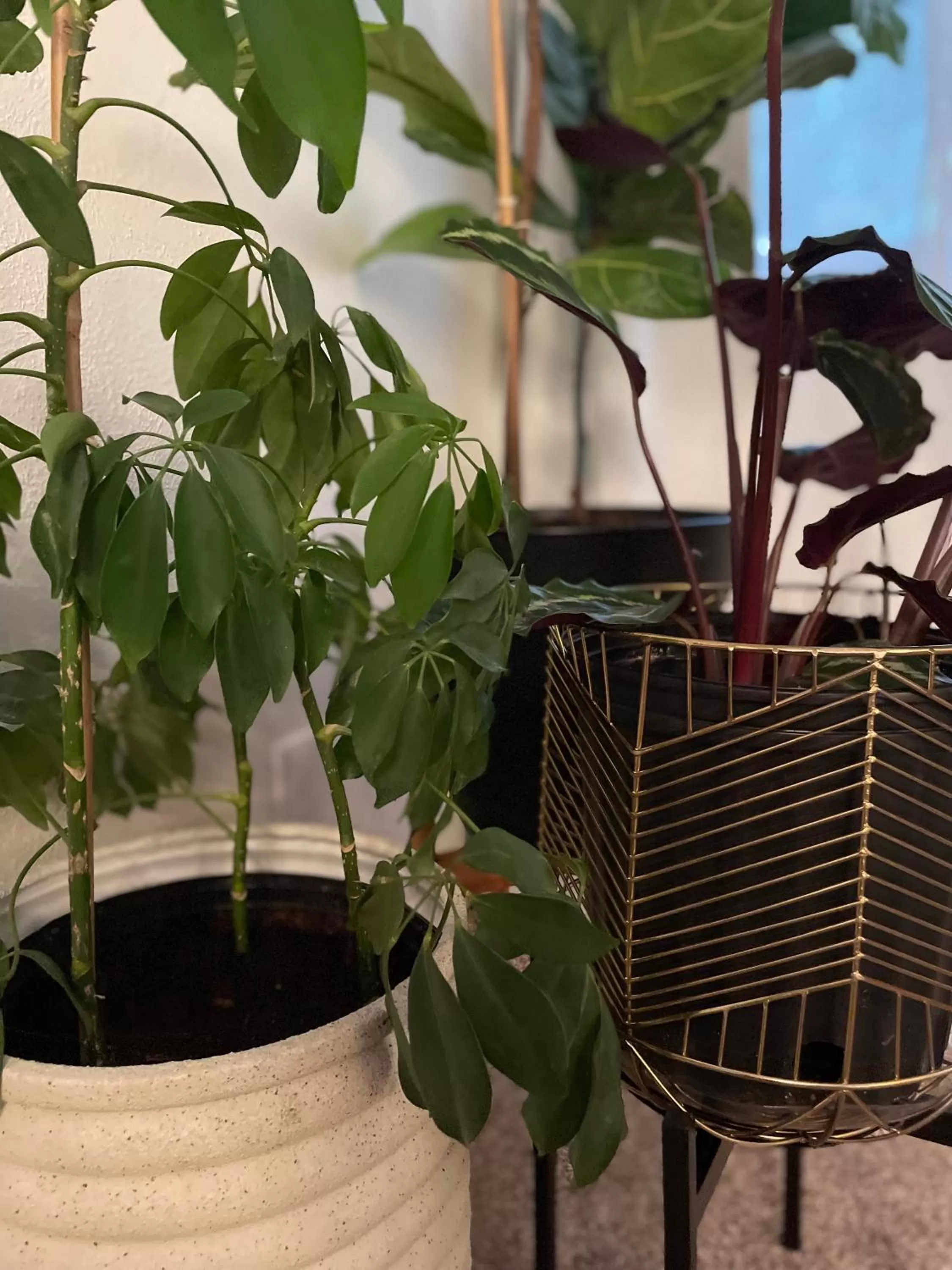 Decorative detail in Flora House Denver