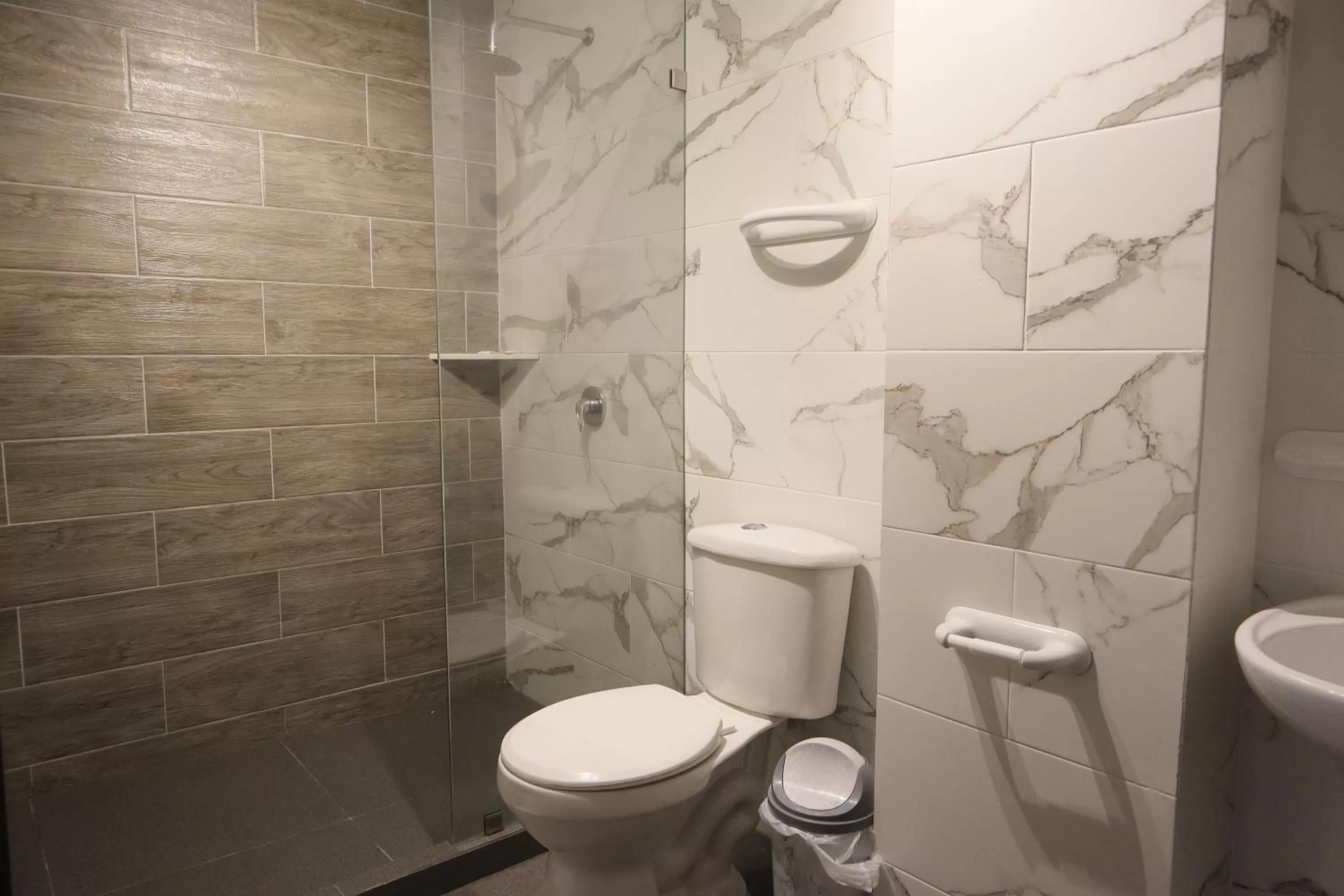 Shower in Hotel Sada