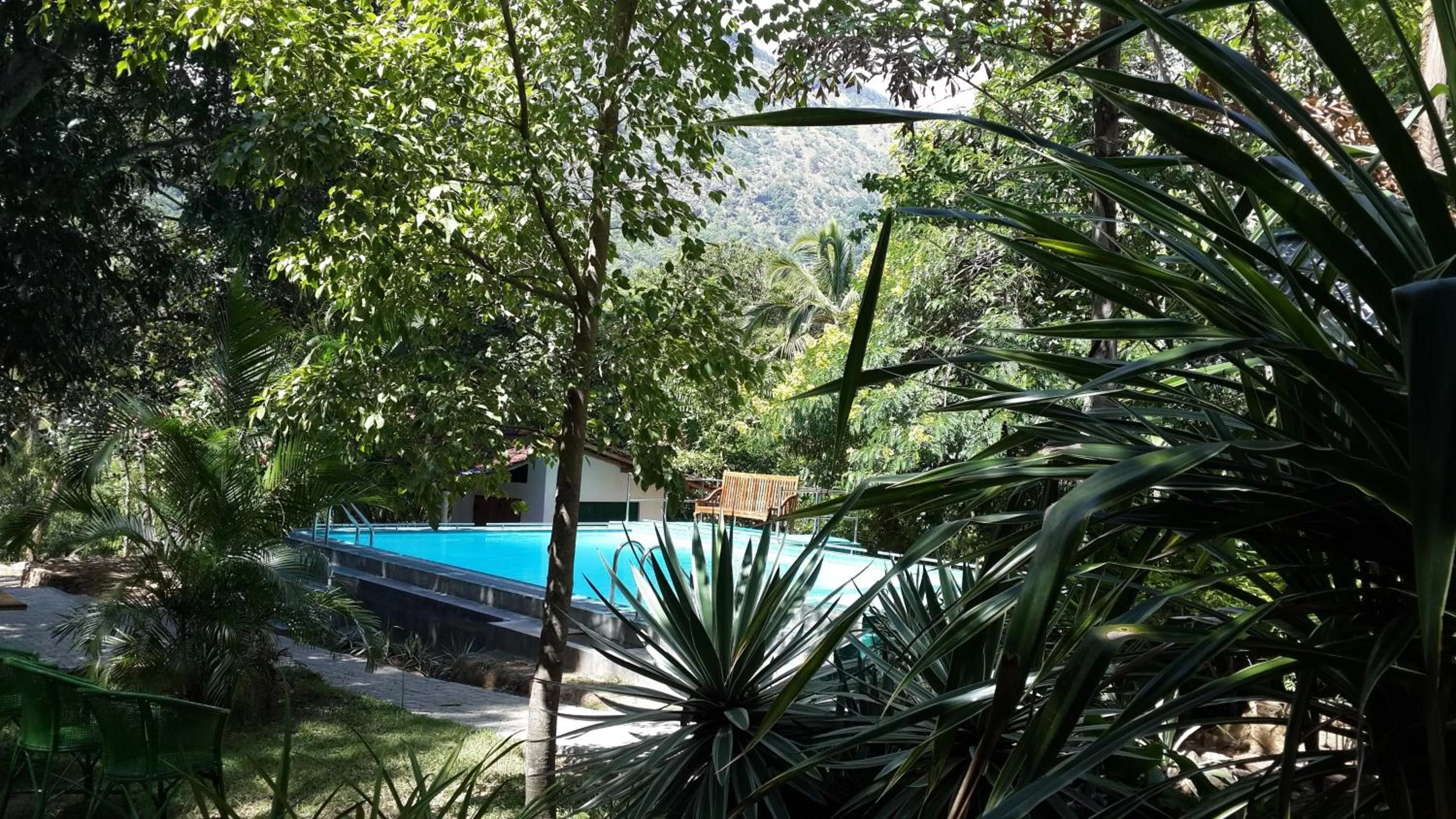 Day in Ella Planters Bungalow