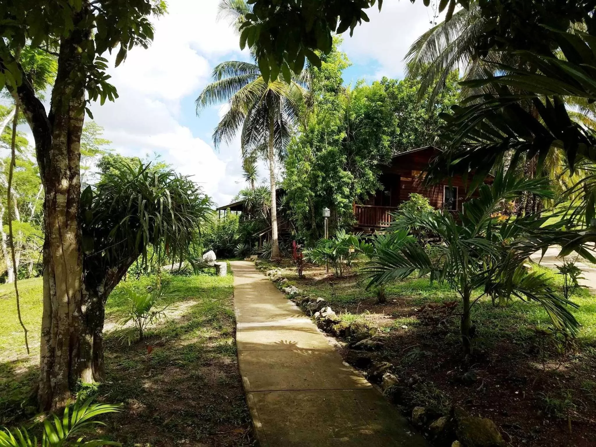 View (from property/room) in The Log Cab-Inn