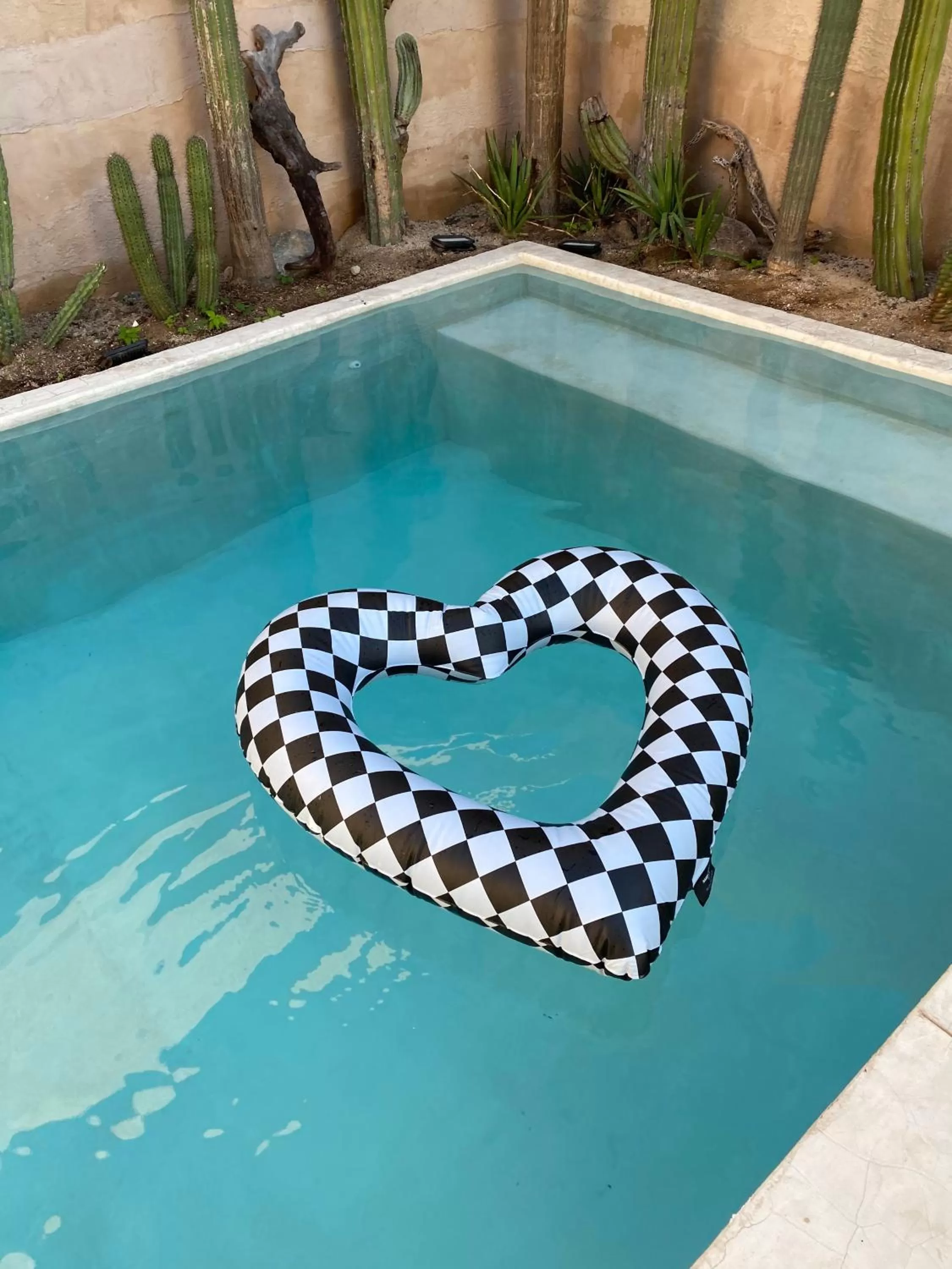 Swimming Pool in Casa Bo