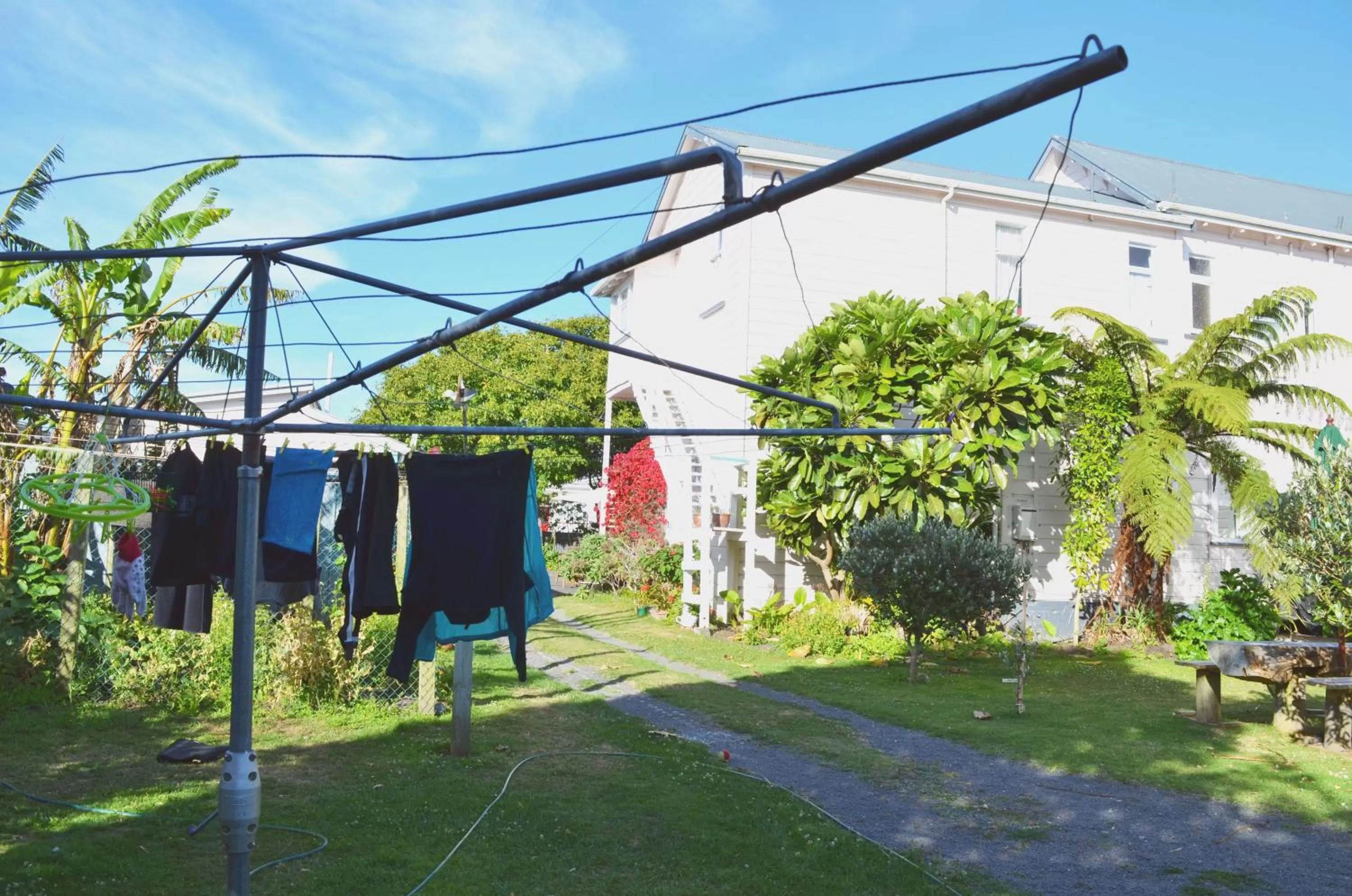 Garden, Other Activities in Braemar House B&B and YHA Hostel