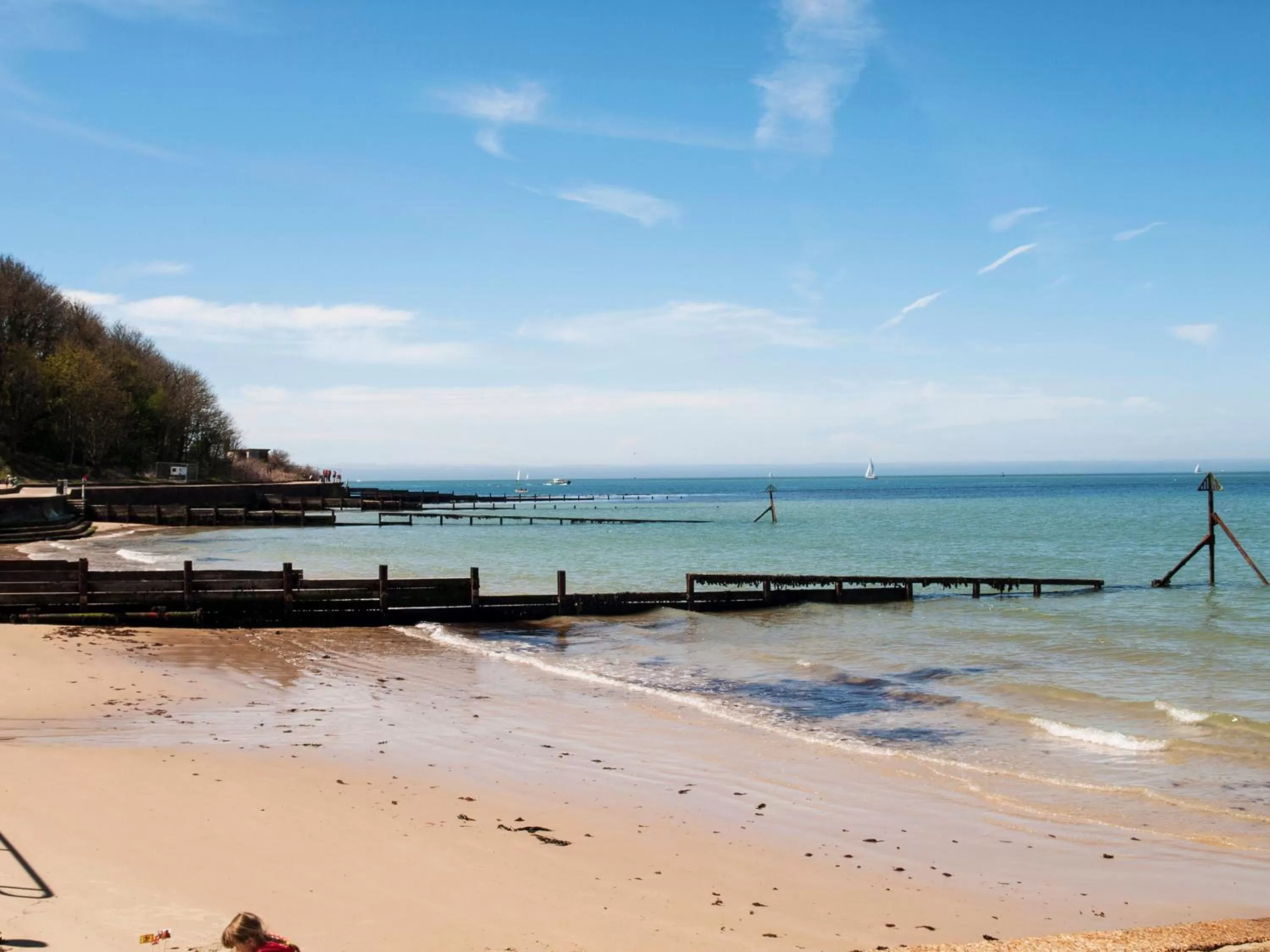 Natural landscape in The Bay Colwell