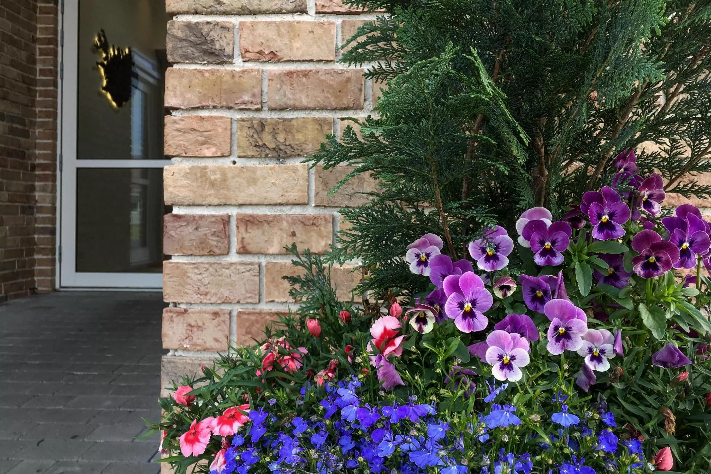 Property building in Northern Light Inn