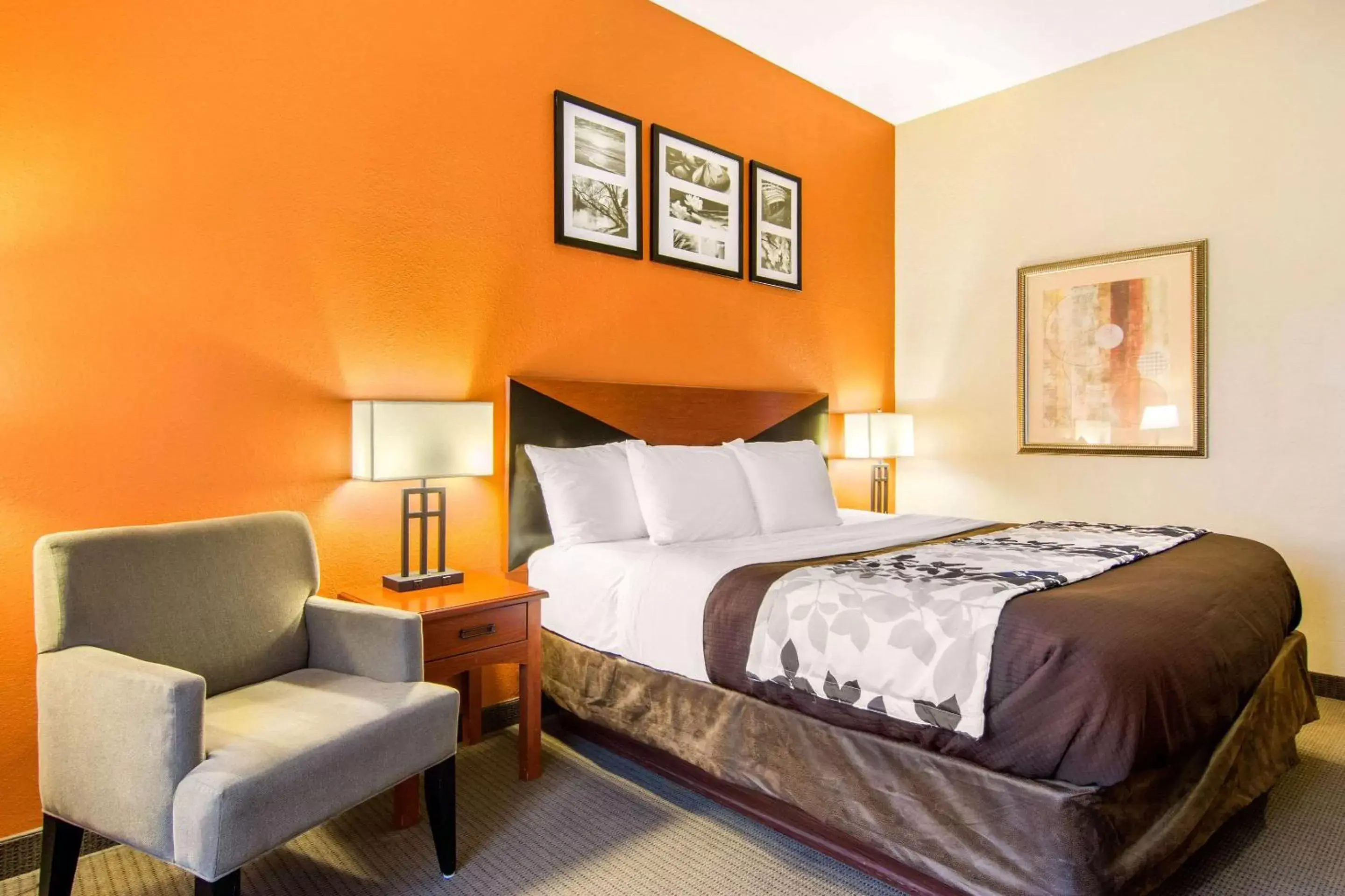 King Room - Disability Access/Non-Smoking in Sleep Inn & Suites Athens South King Room - Disability Access/Non-Smoking in Sleep Inn & Suites Athens South