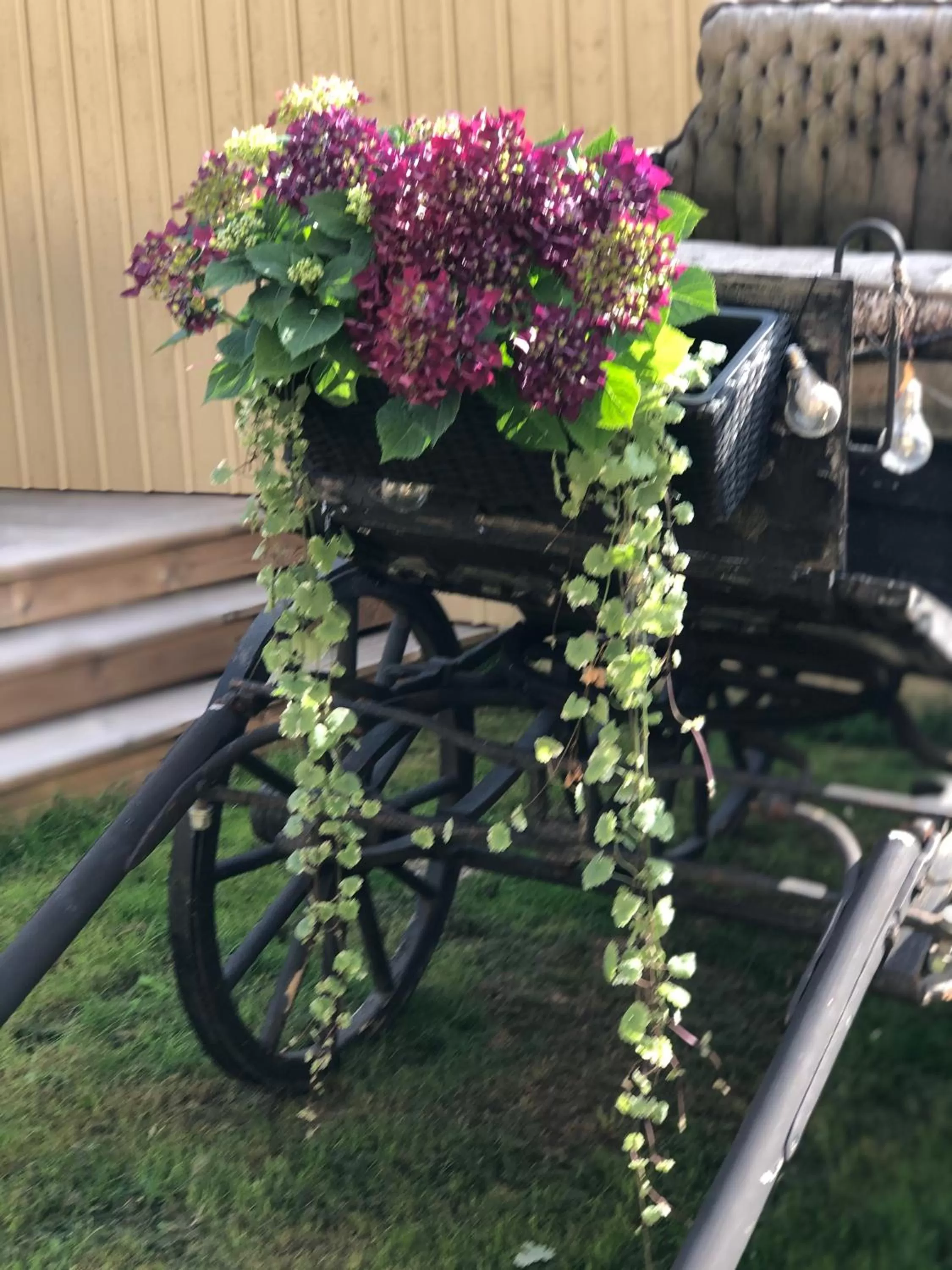 Garden in Järnvägshotellet B&B Skara