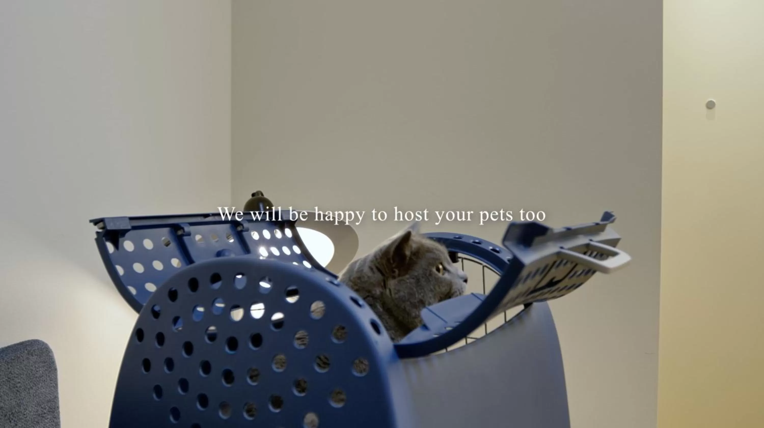 Pets in Sant'Ambrogio Apartments, Reception h24