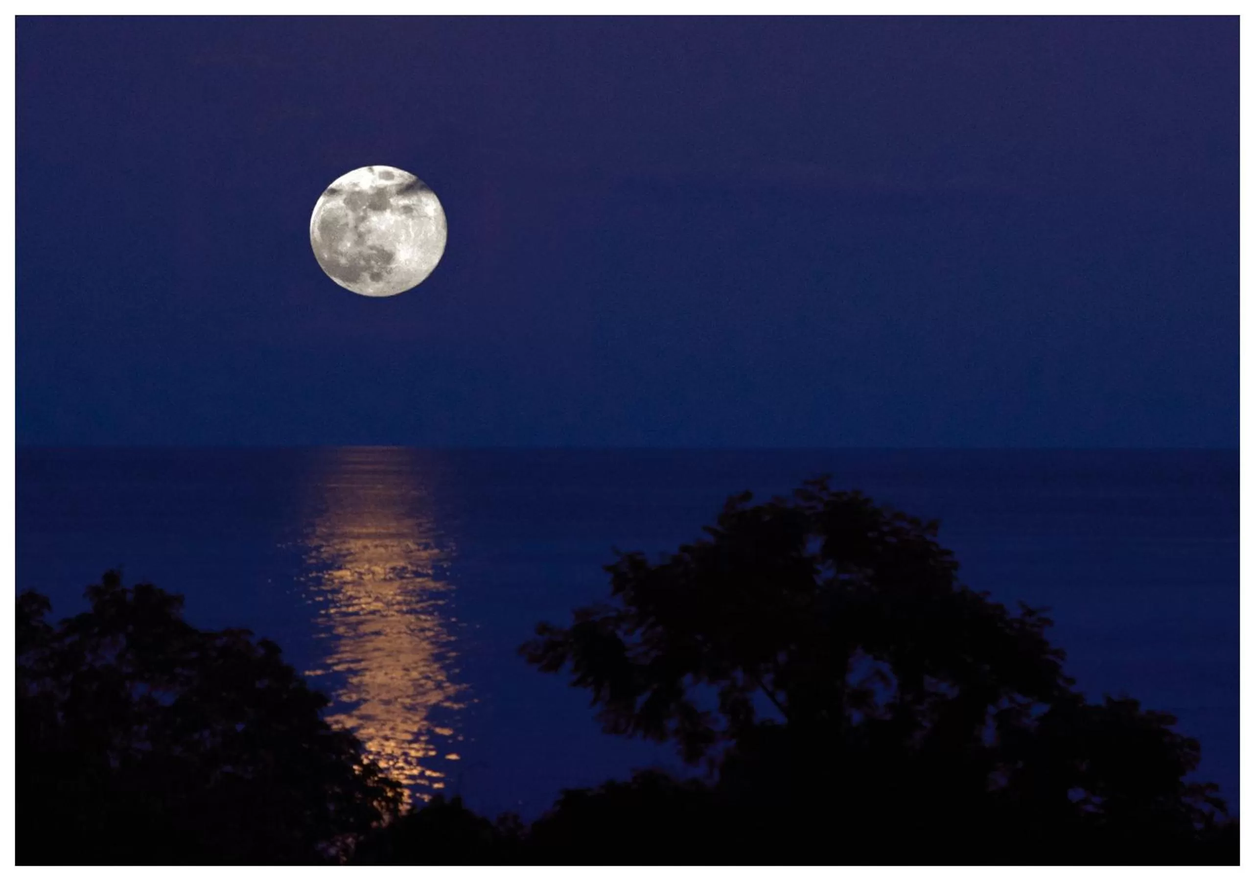 Night in Amarela Resort