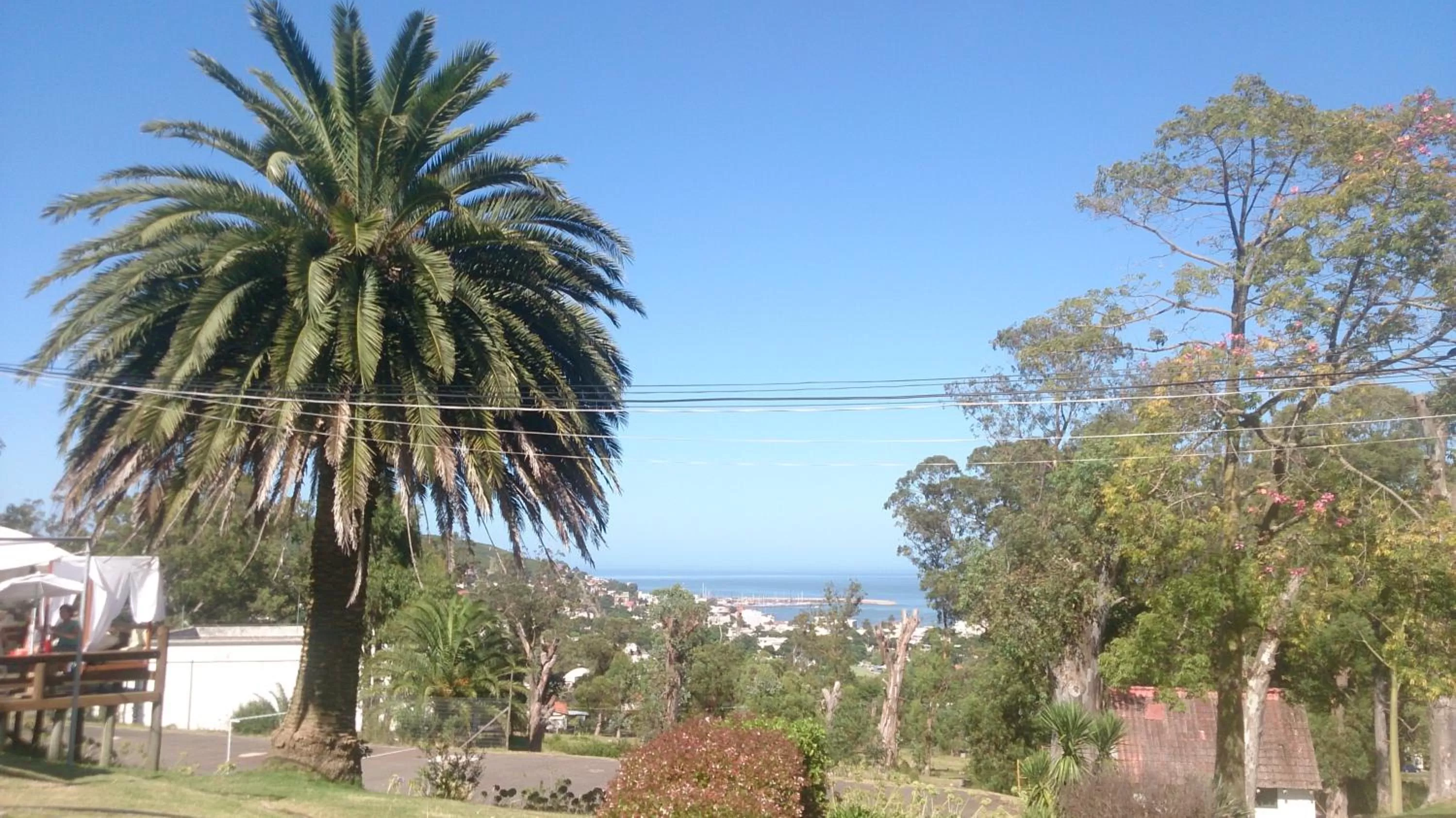 City view in Complejo Laderas del Cerro