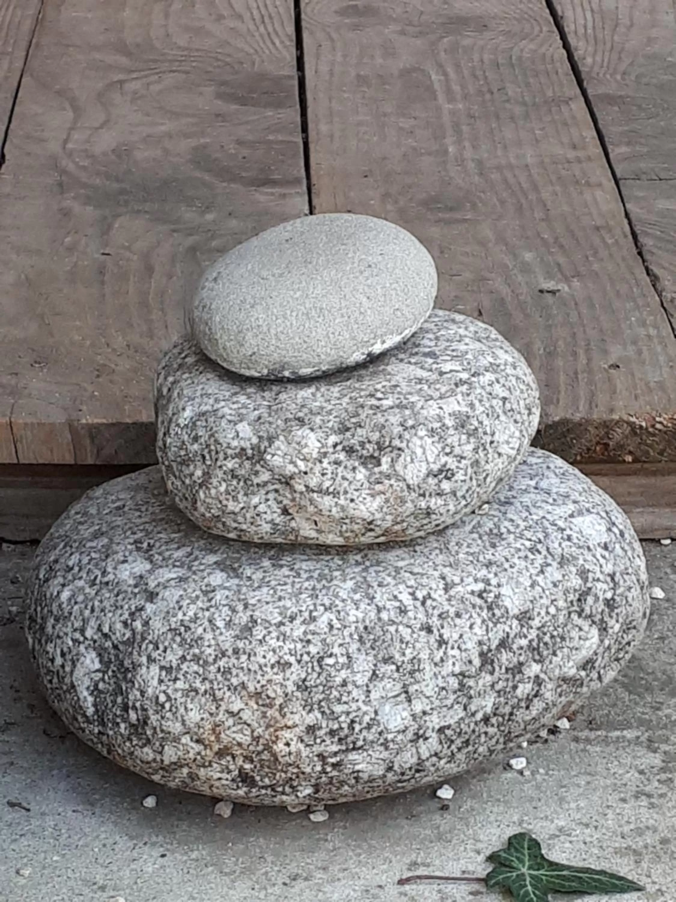 Natural landscape in Aux berges du pont du gard