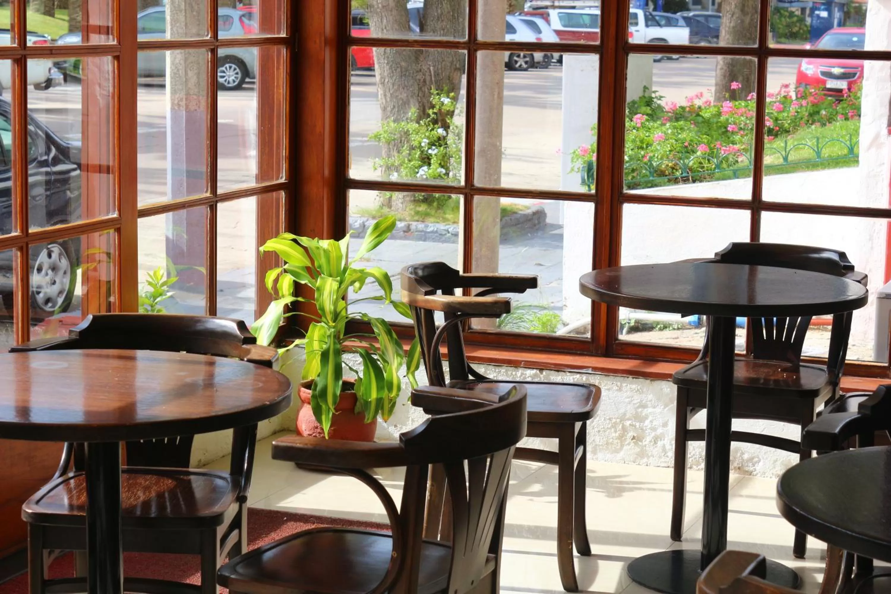 Lounge or bar in Hotel San Martin