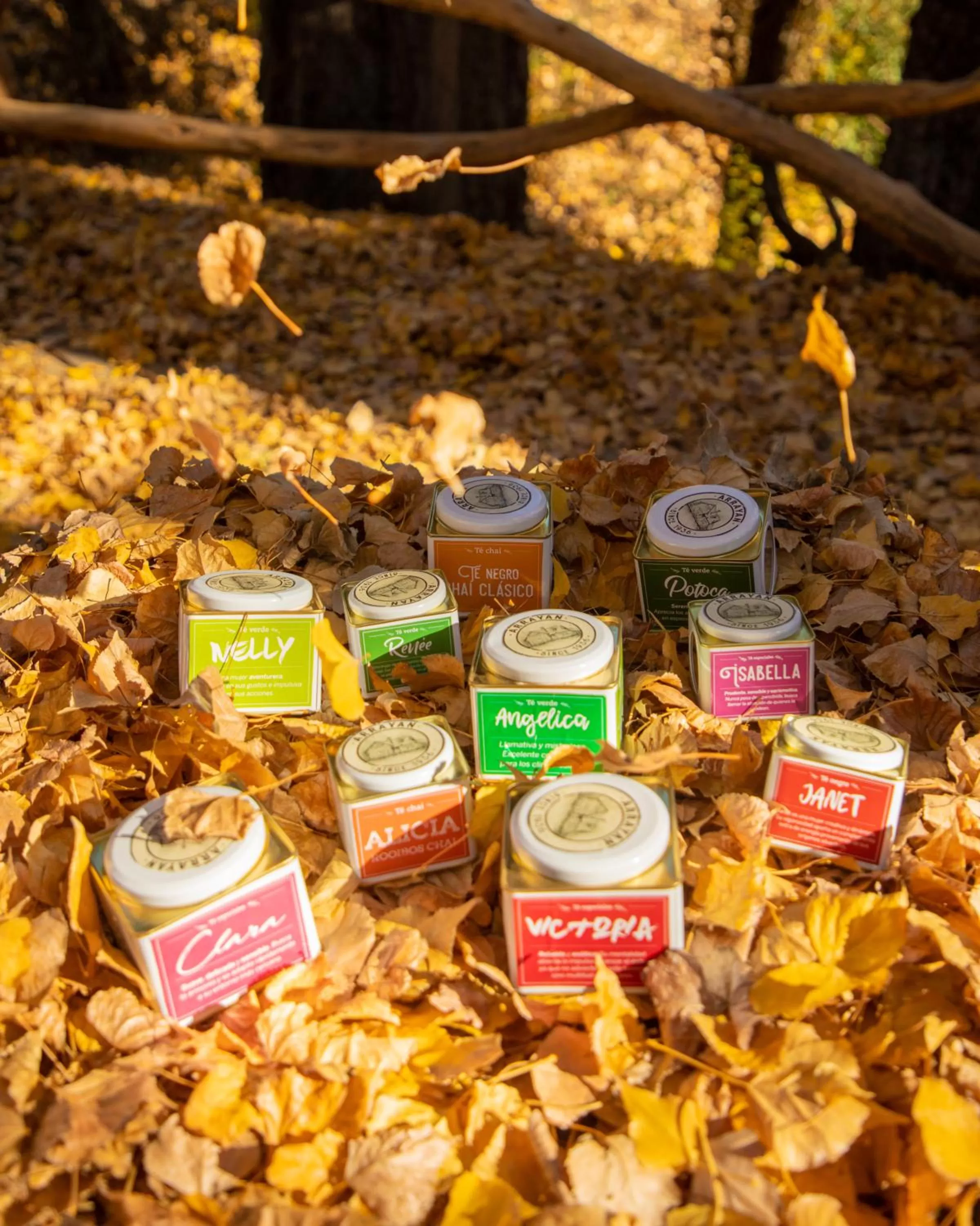 Day in Arrayan Lake View Mountain Lodge & Casa De Te Arrayan