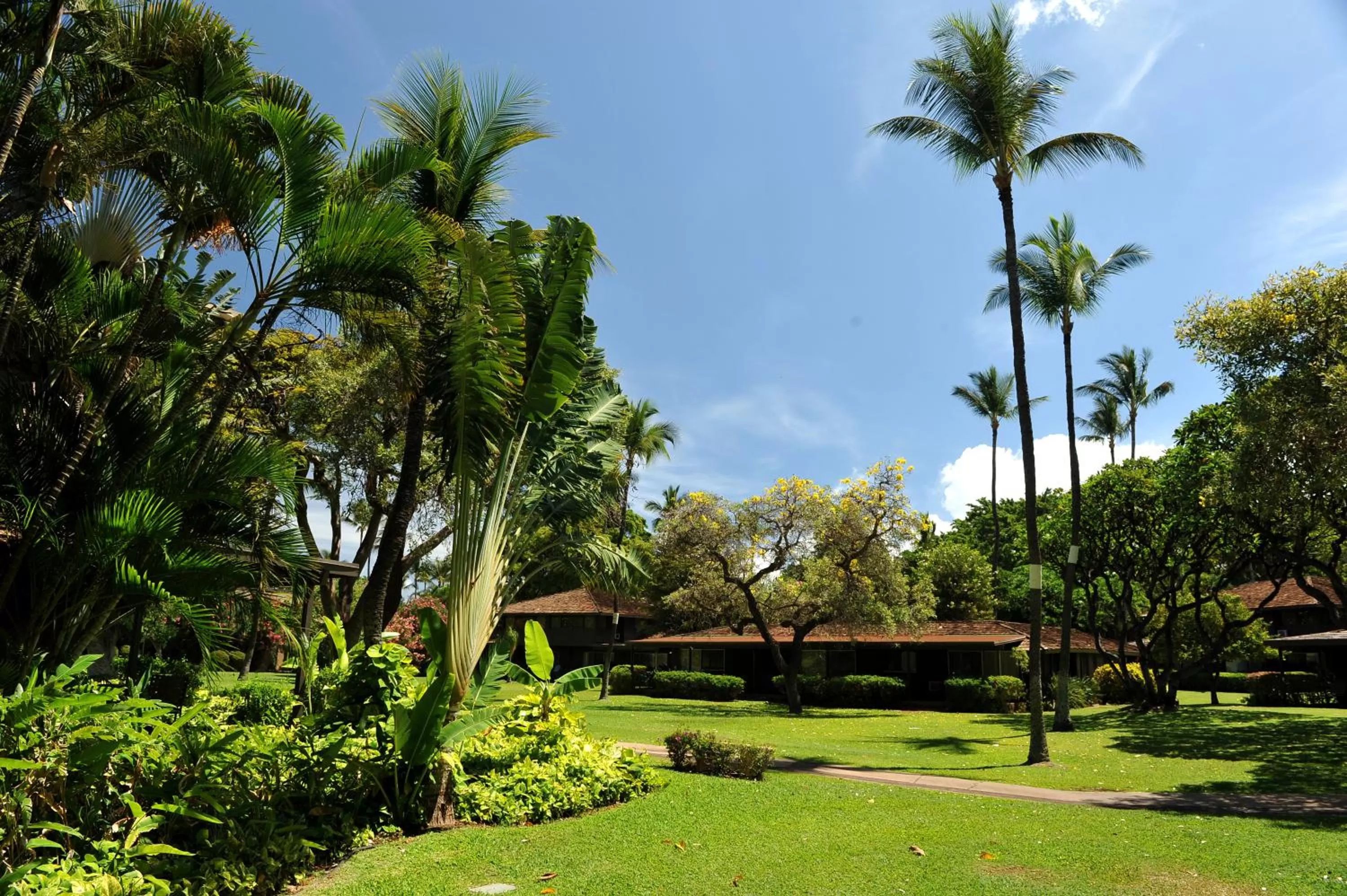 Facade/entrance in Royal Lahaina Resort & Bungalows