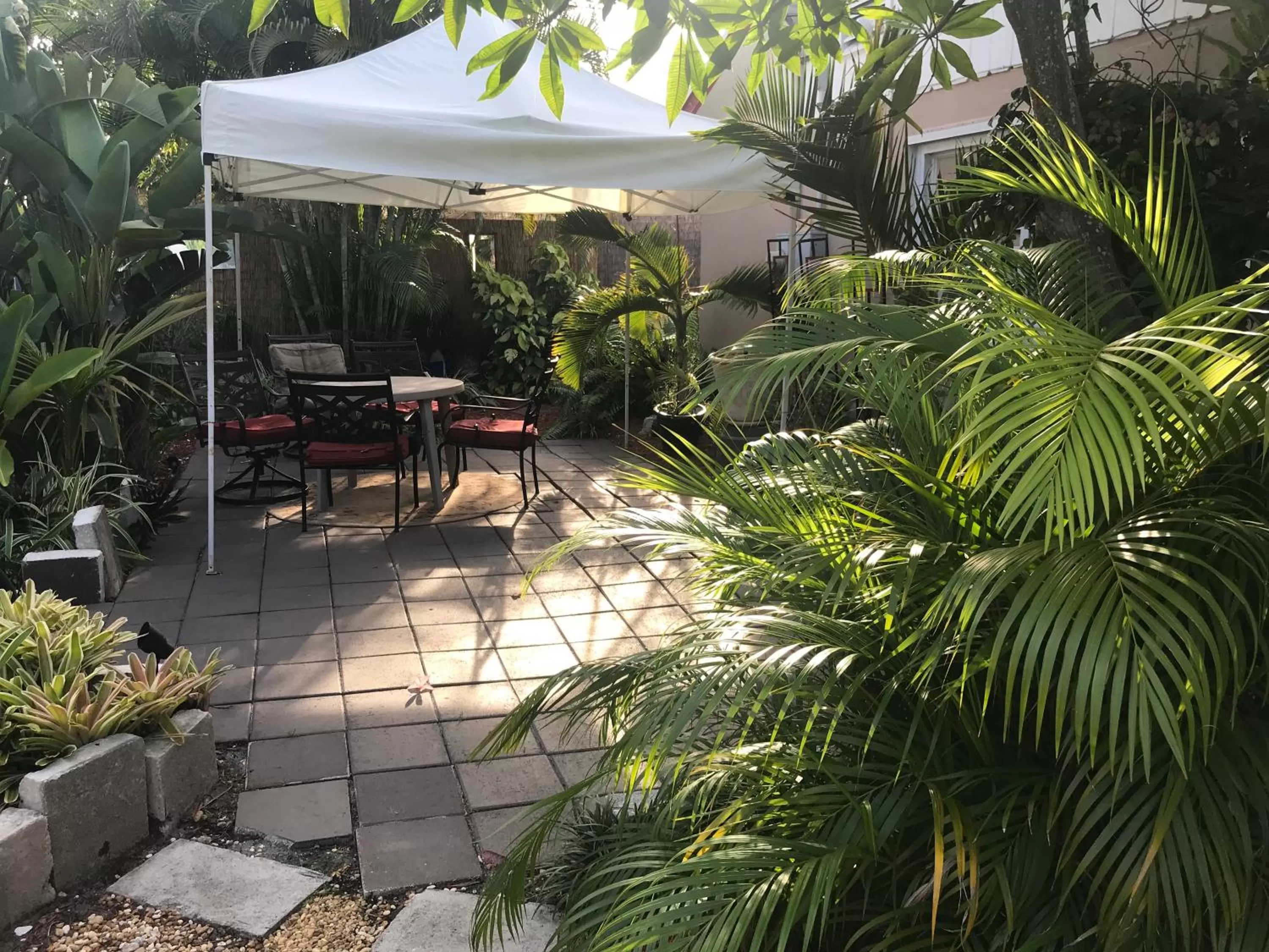 Patio in INN LEATHER GUEST HOUSE-GAY MALE ONLY