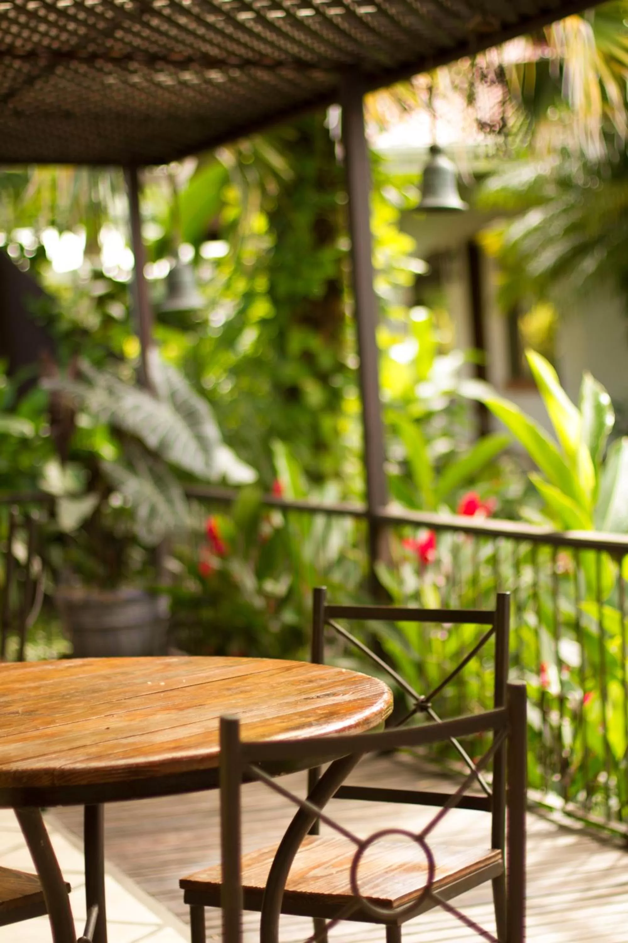 Garden in La Riviera Hotel