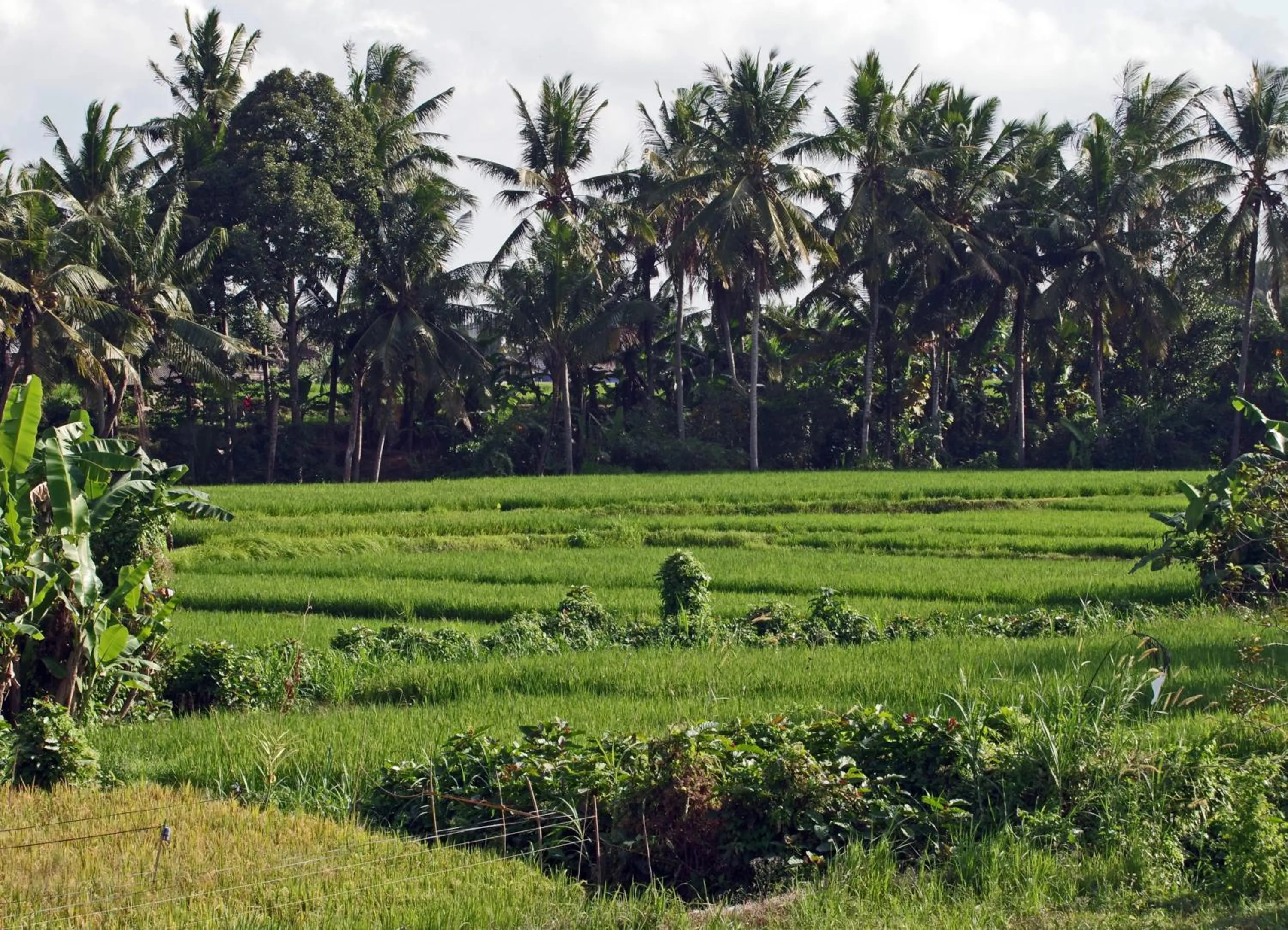Nearby landmark in Ubad Retreat
