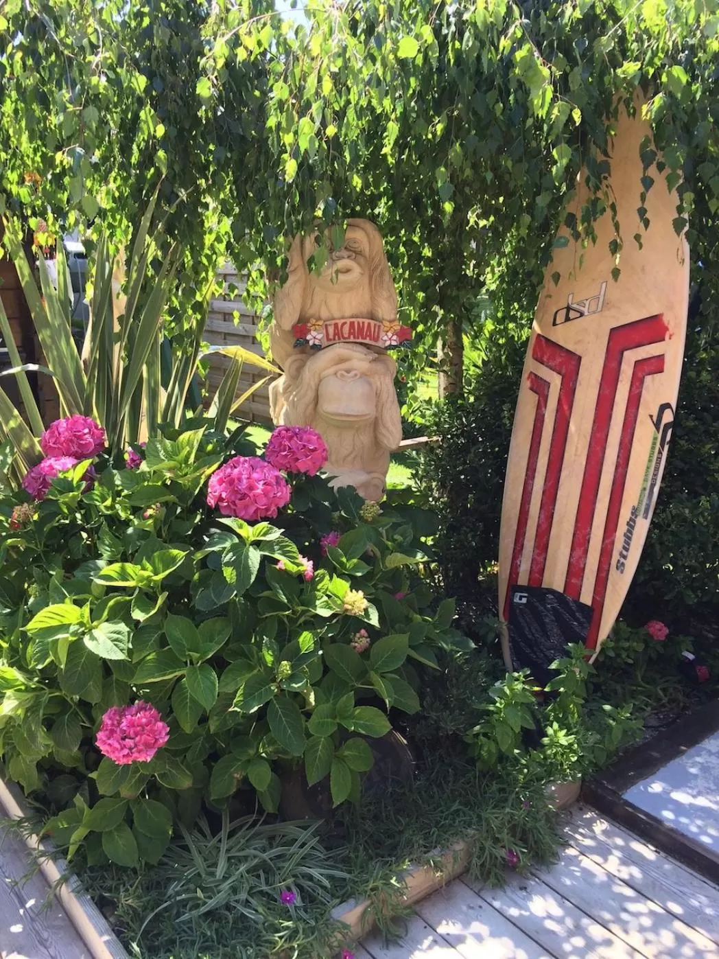 Garden in VILLA ZENITH Hostel - LA MAISON