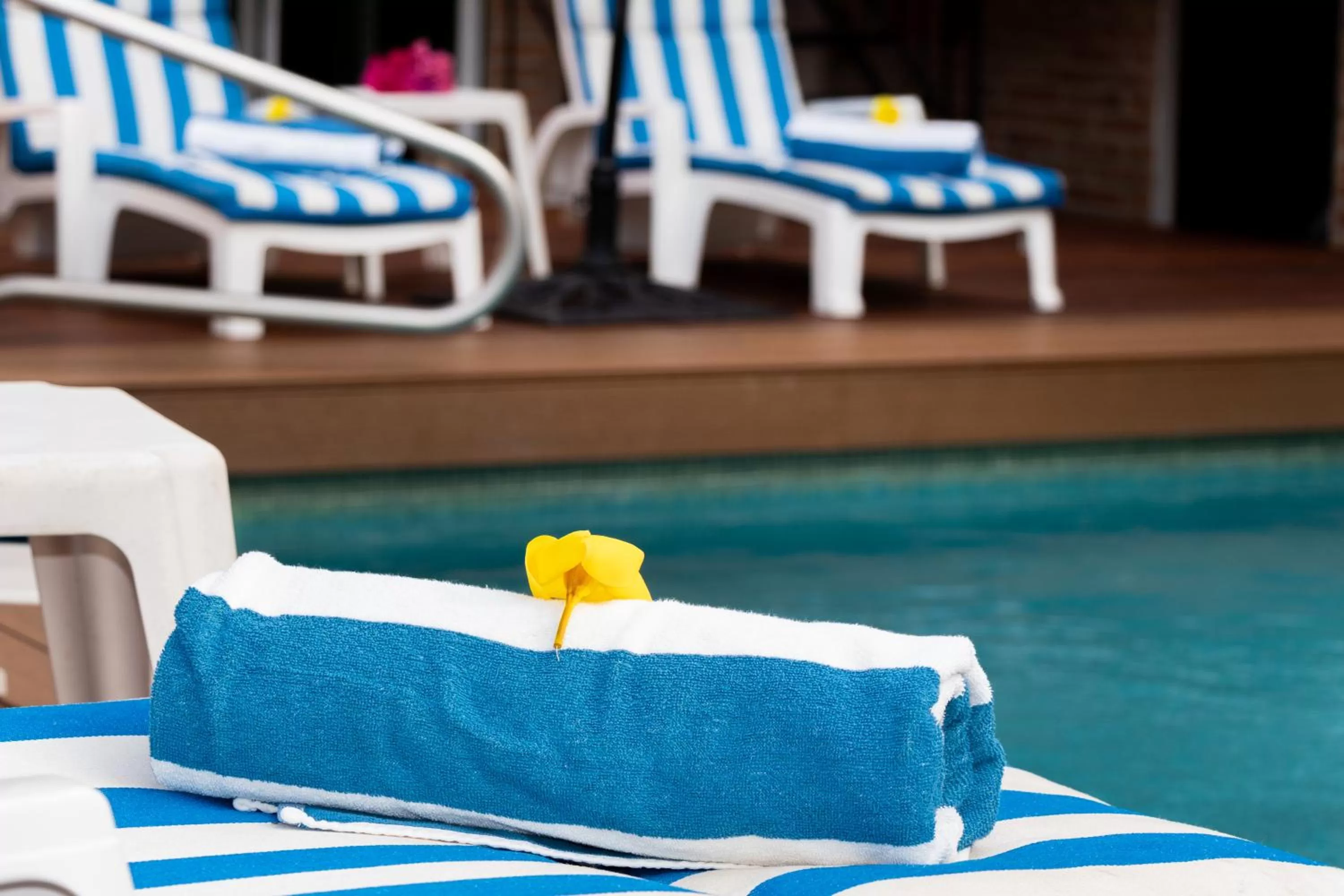 Decorative detail in Hotel Posada De Roger - Near Los Muertos Beach