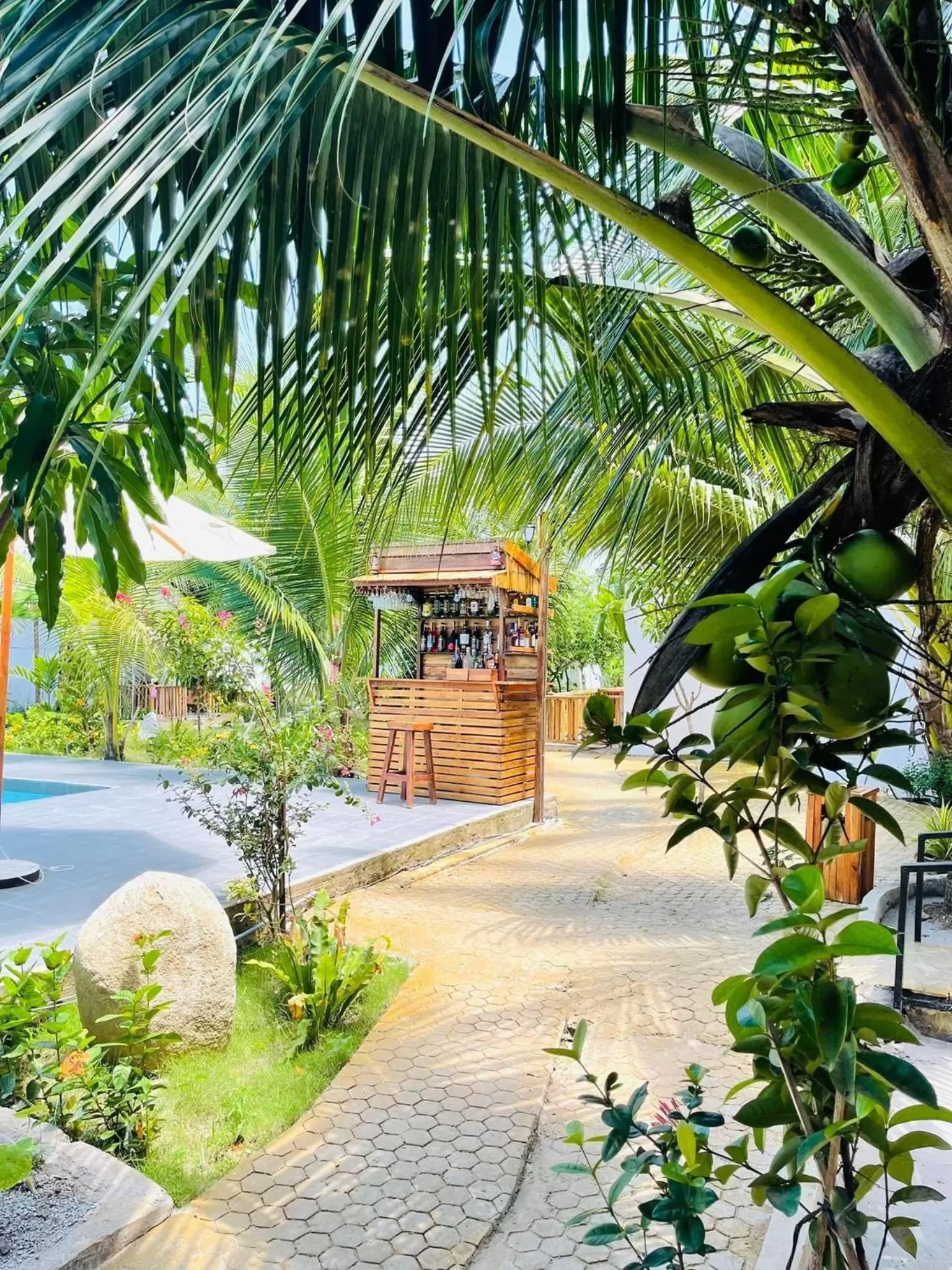 Spring in Hoang Phuc resort