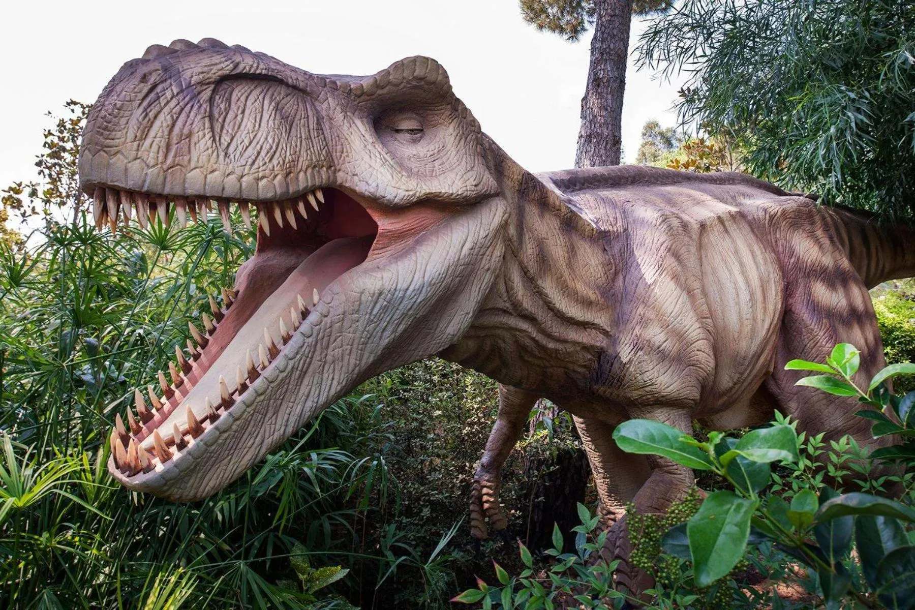 Family in Maxx Royal Belek Golf Resort