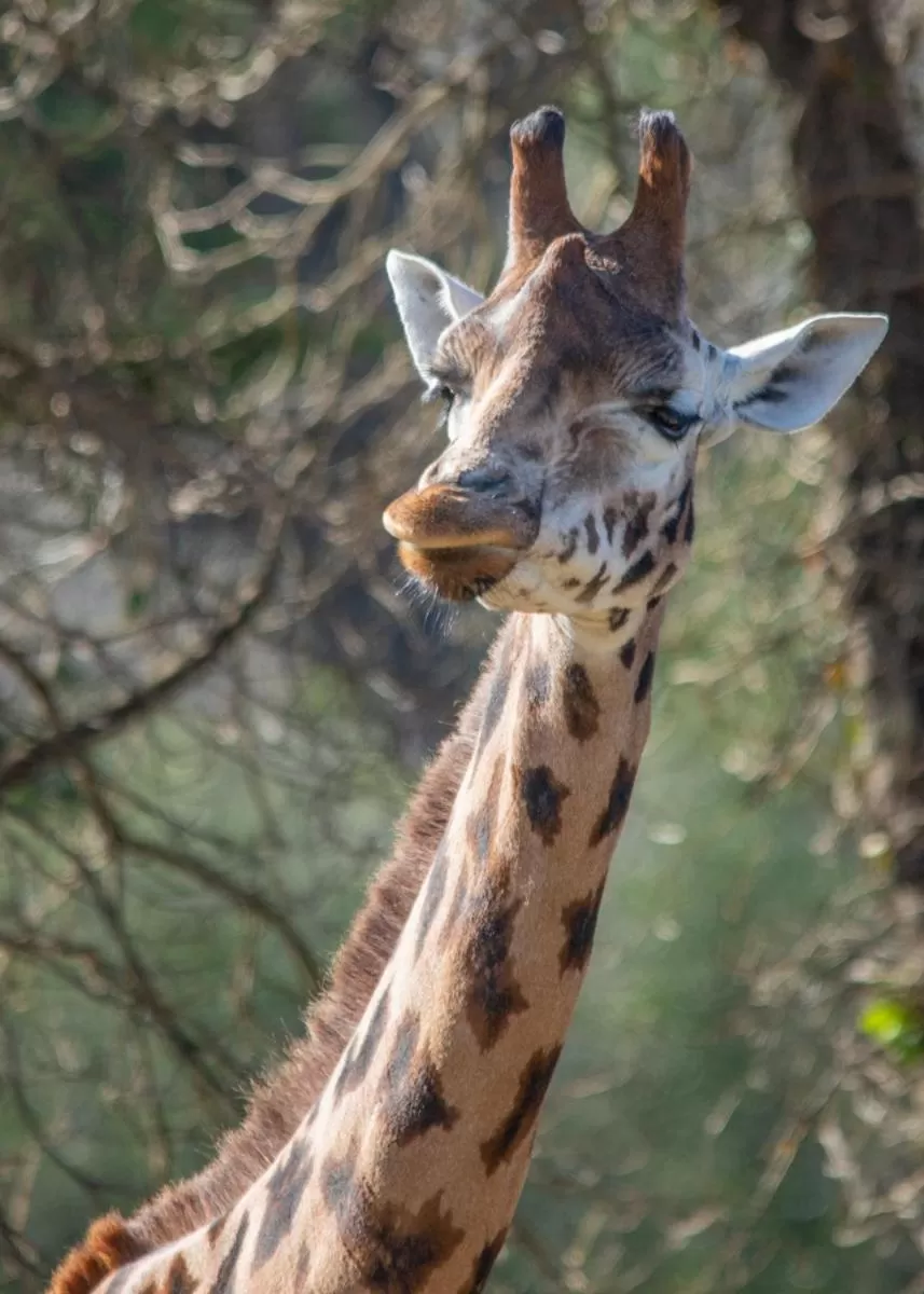 Neighbourhood in Abingdon House