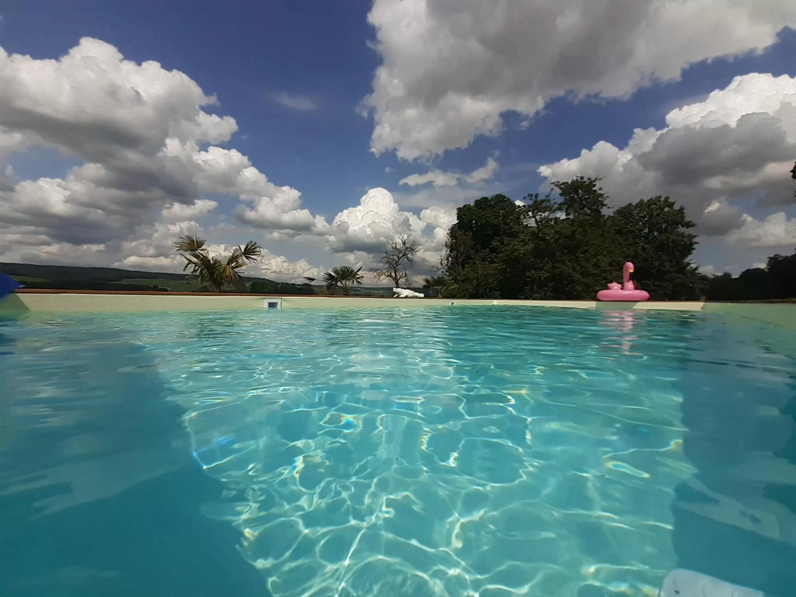 Swimming Pool in CHAMBRES D'HOTES DANS DOMAINE DE CHARME A EPERNAY