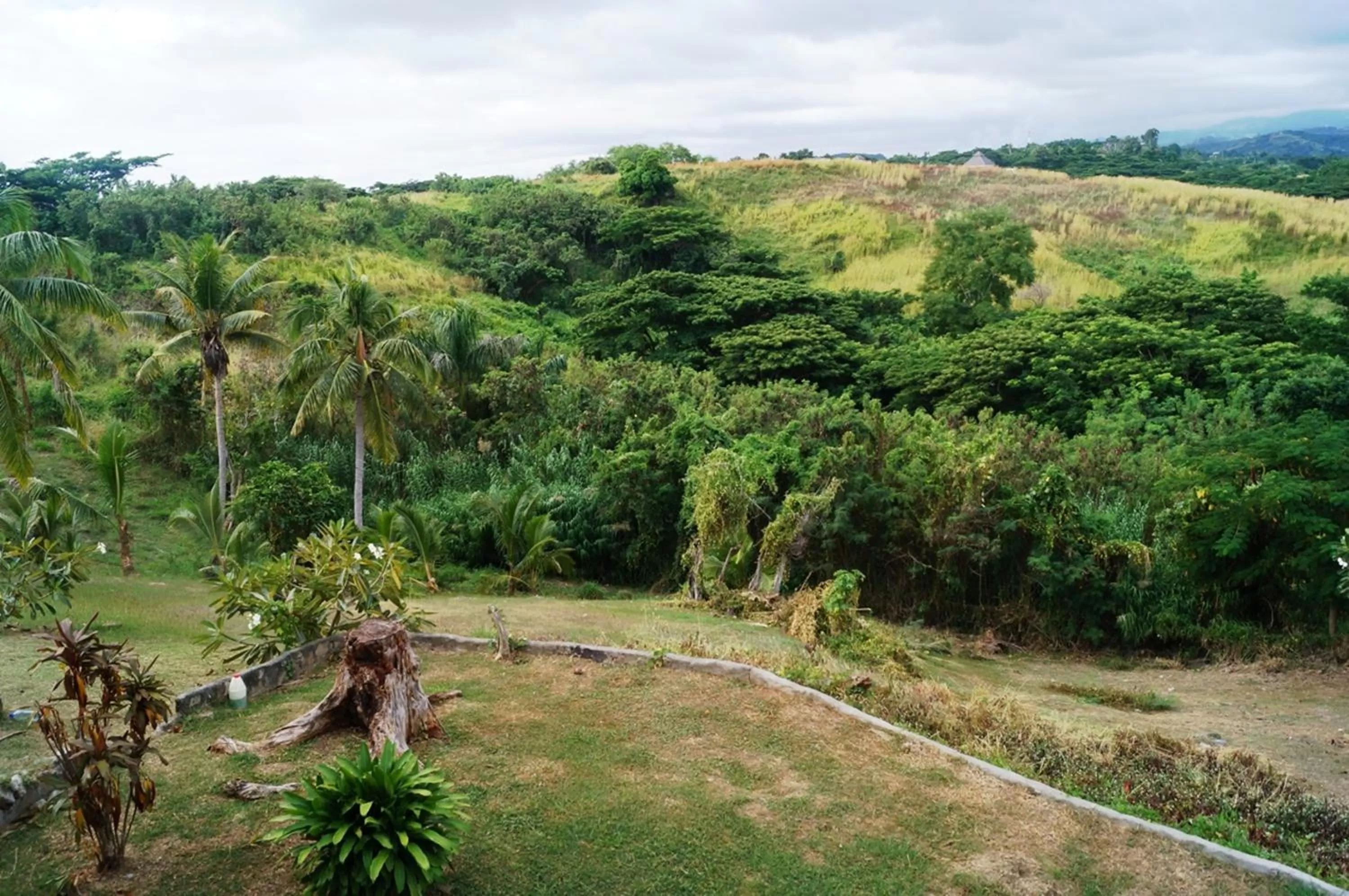 Day in Anchorage Beach Resort