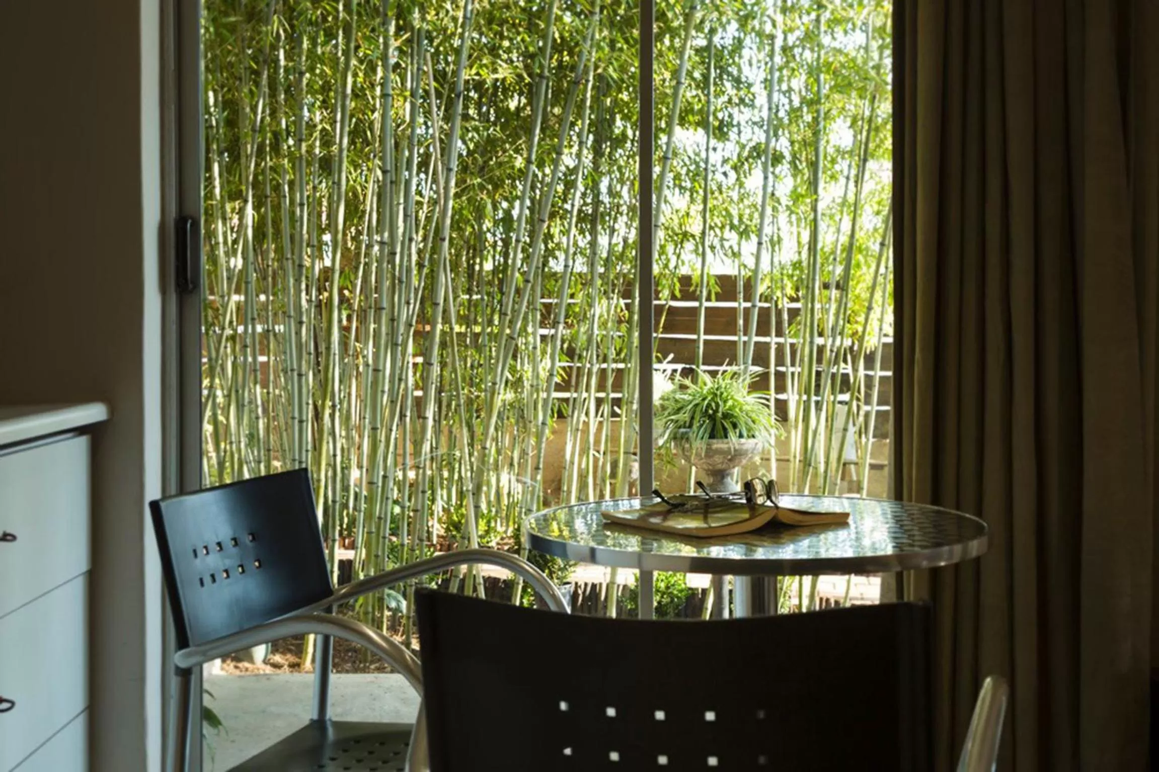 Garden view in Craighall Garden Guest House