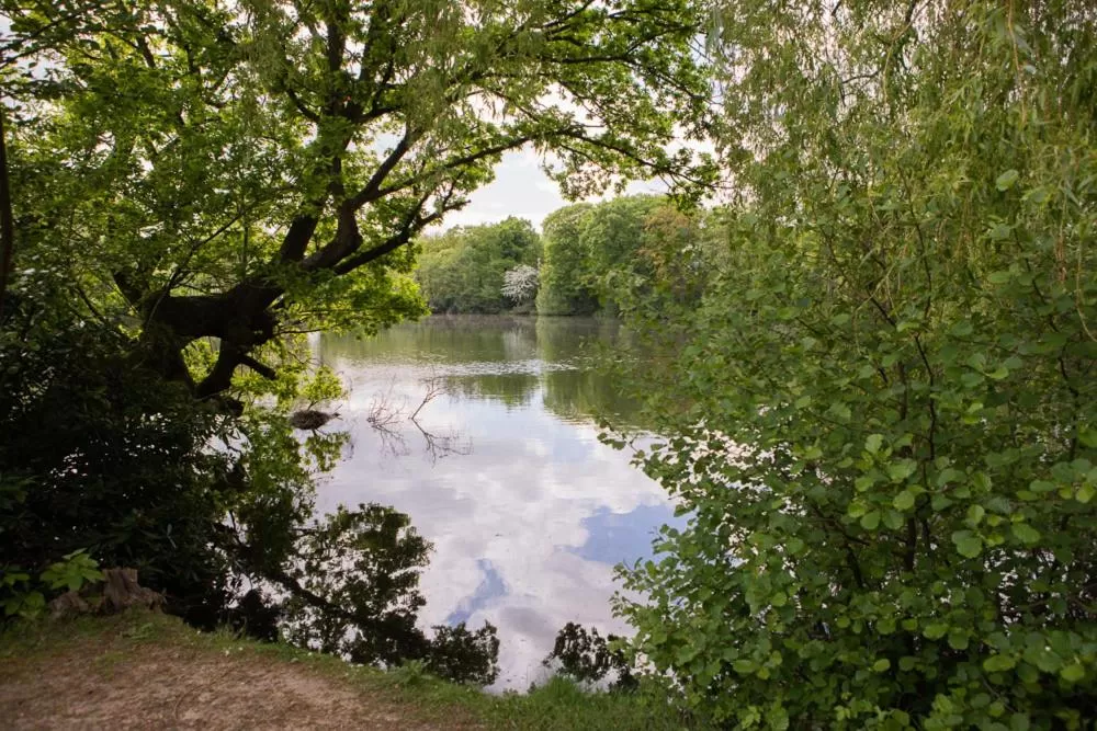 Lake view in Inn On The Lake