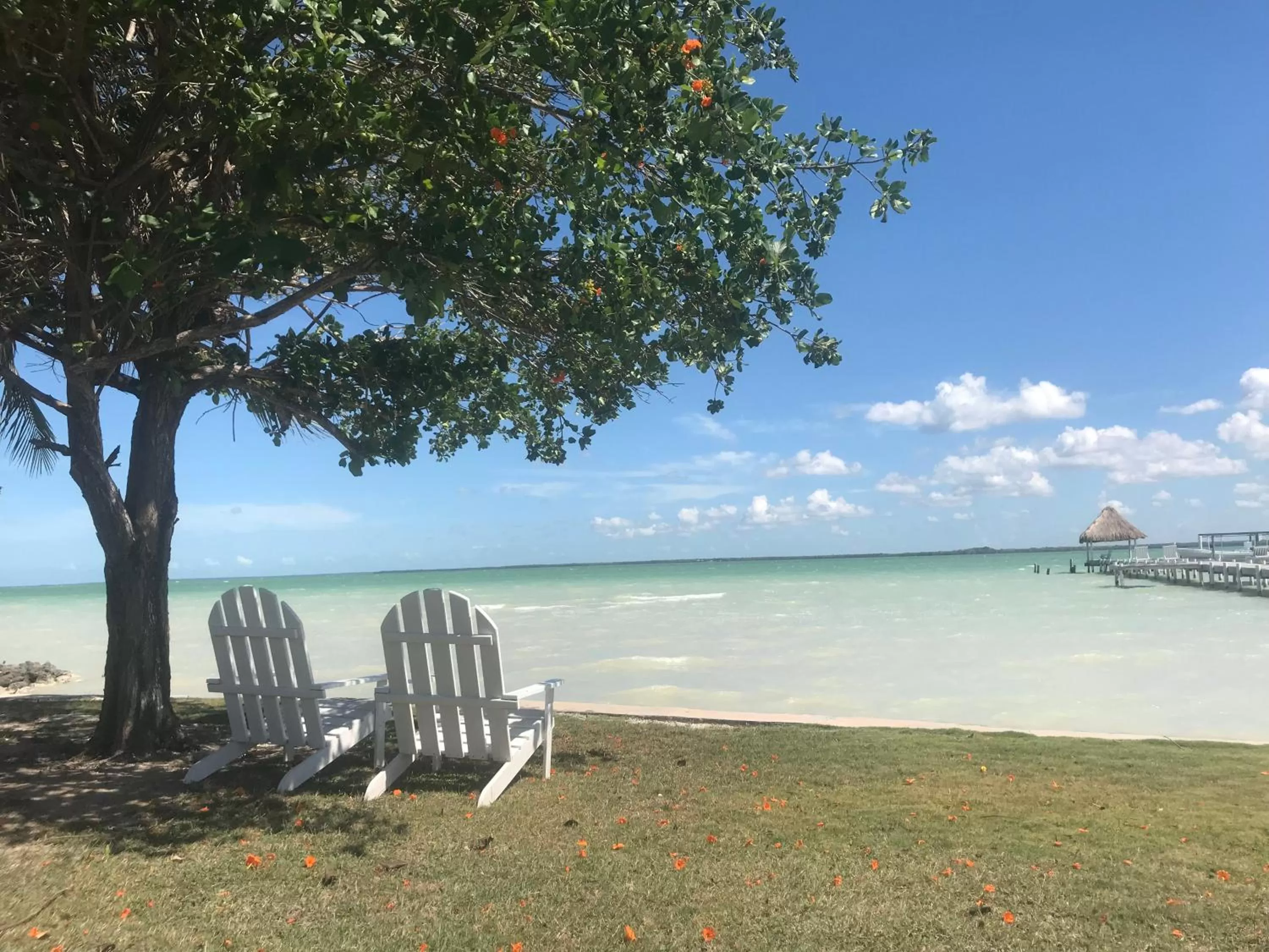 Natural landscape, Beach in Tilt-Ta-Dock Resort Belize
