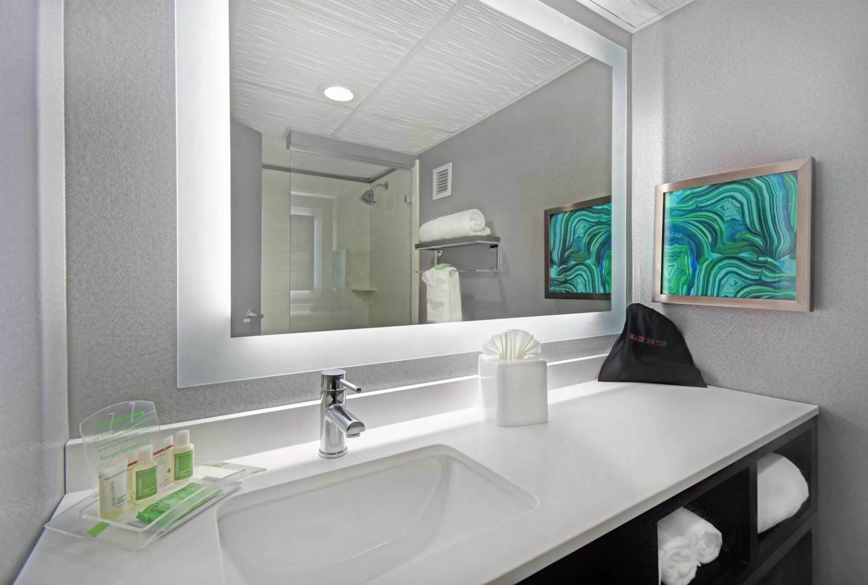 Bathroom in Holiday Inn - Memphis Downtown - Beale St. by IHG