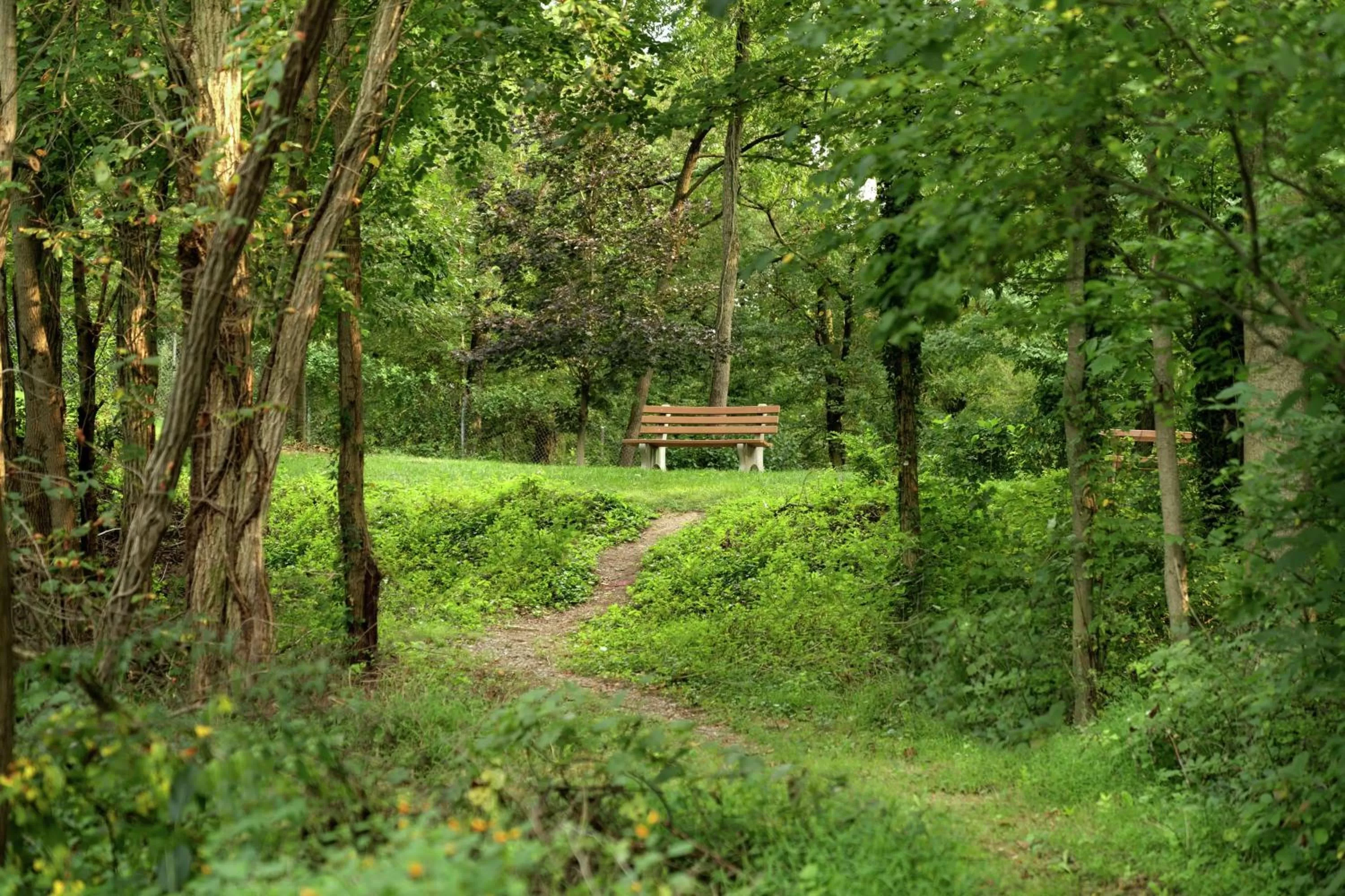 Garden in Home2 Suites By Hilton Ephrata