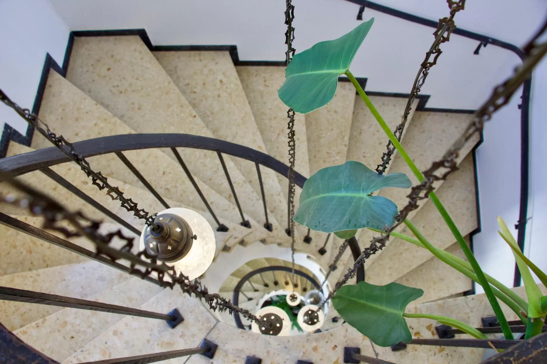 Property building in Hotel Goldene Traube