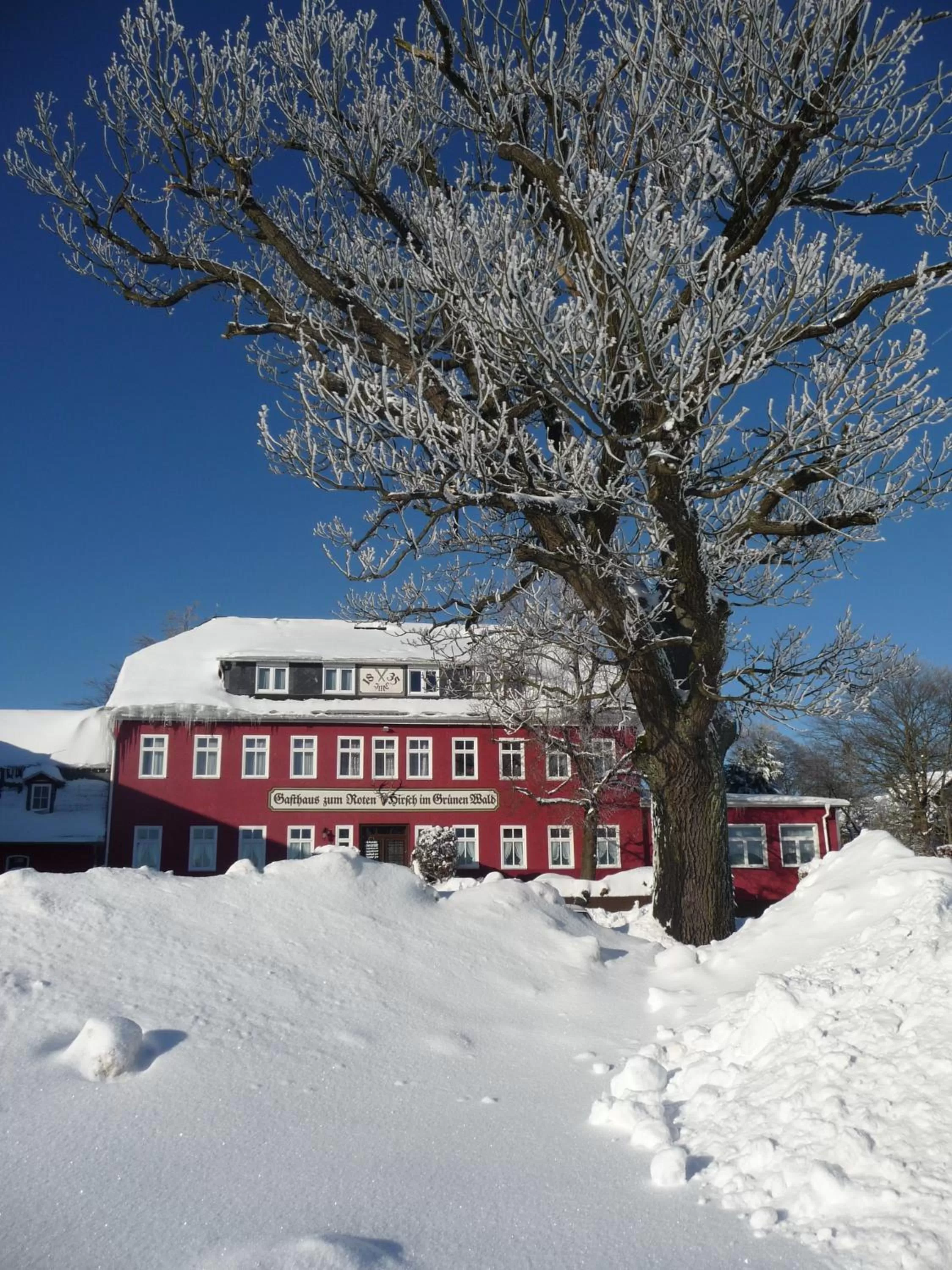 Facade/entrance, Winter in Zum Roten Hirsch im Grünen Wald
