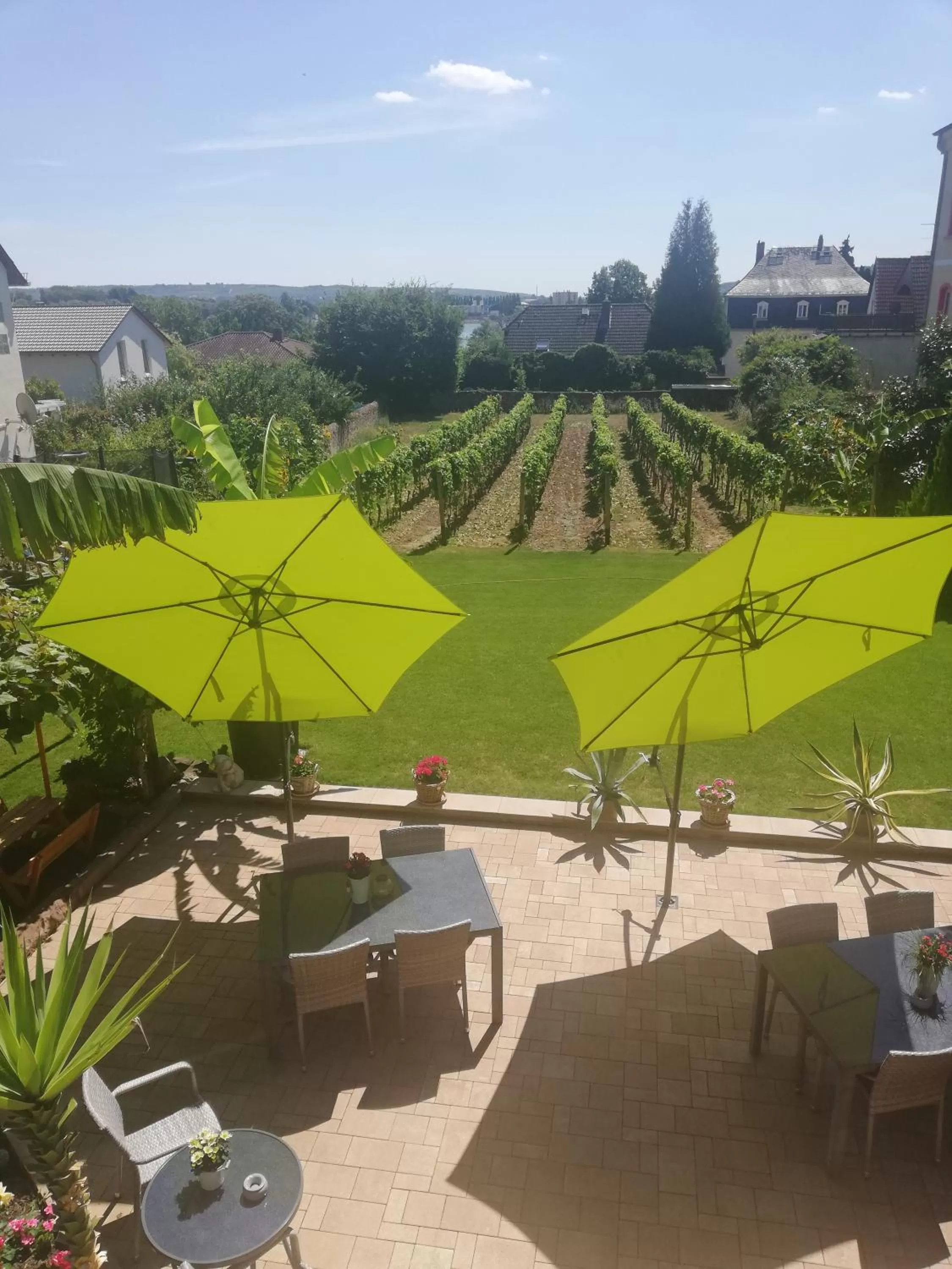 Pool View in Bed and Breakfast - Rheingauer Hof