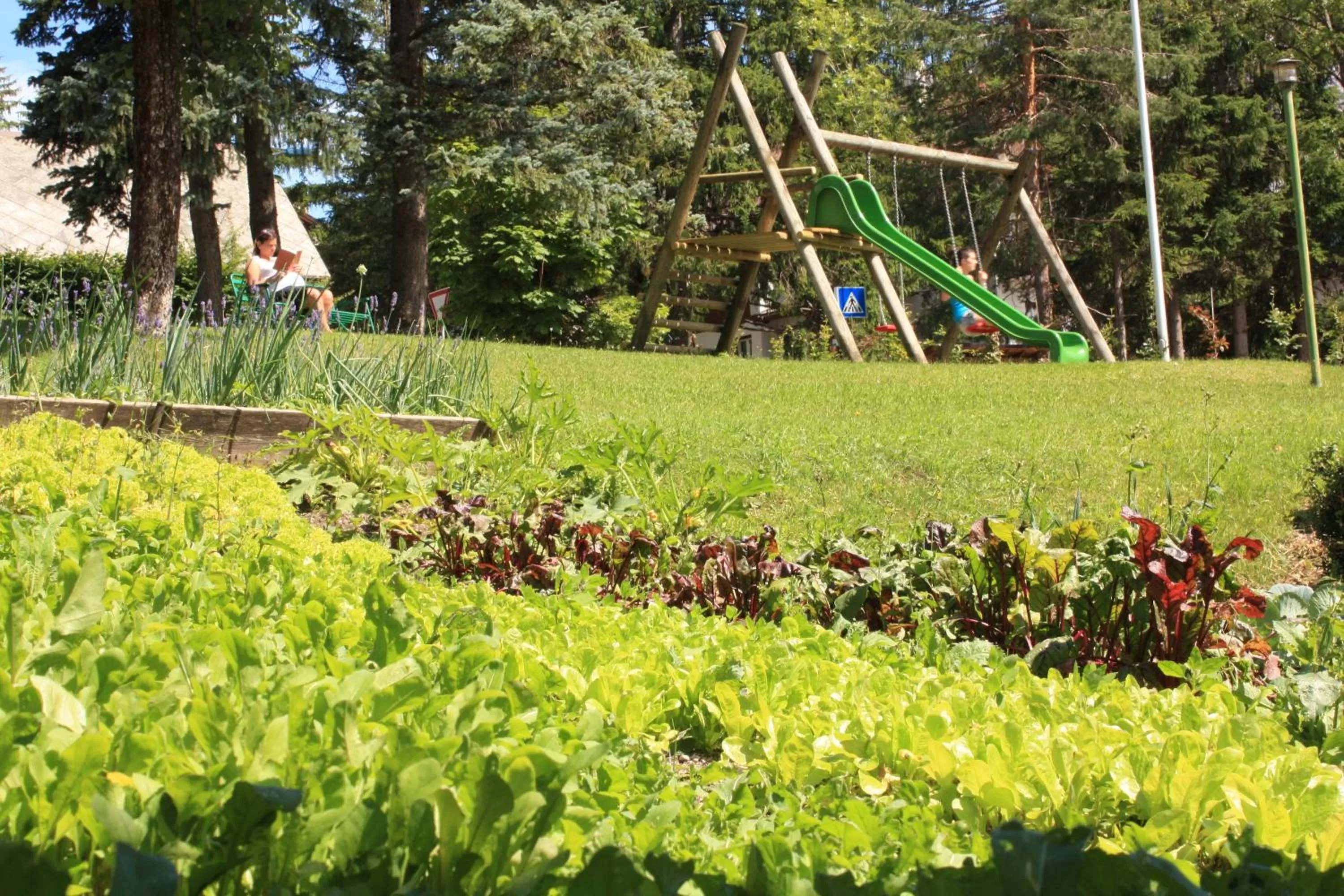 Facade/entrance in Hotel Trieste