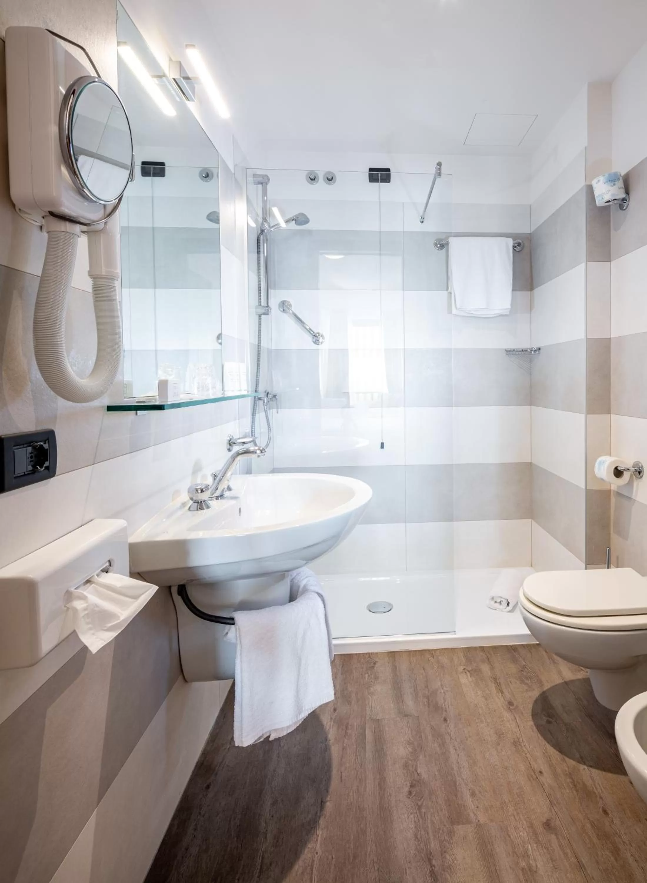 Toilet in Hotel Laurin