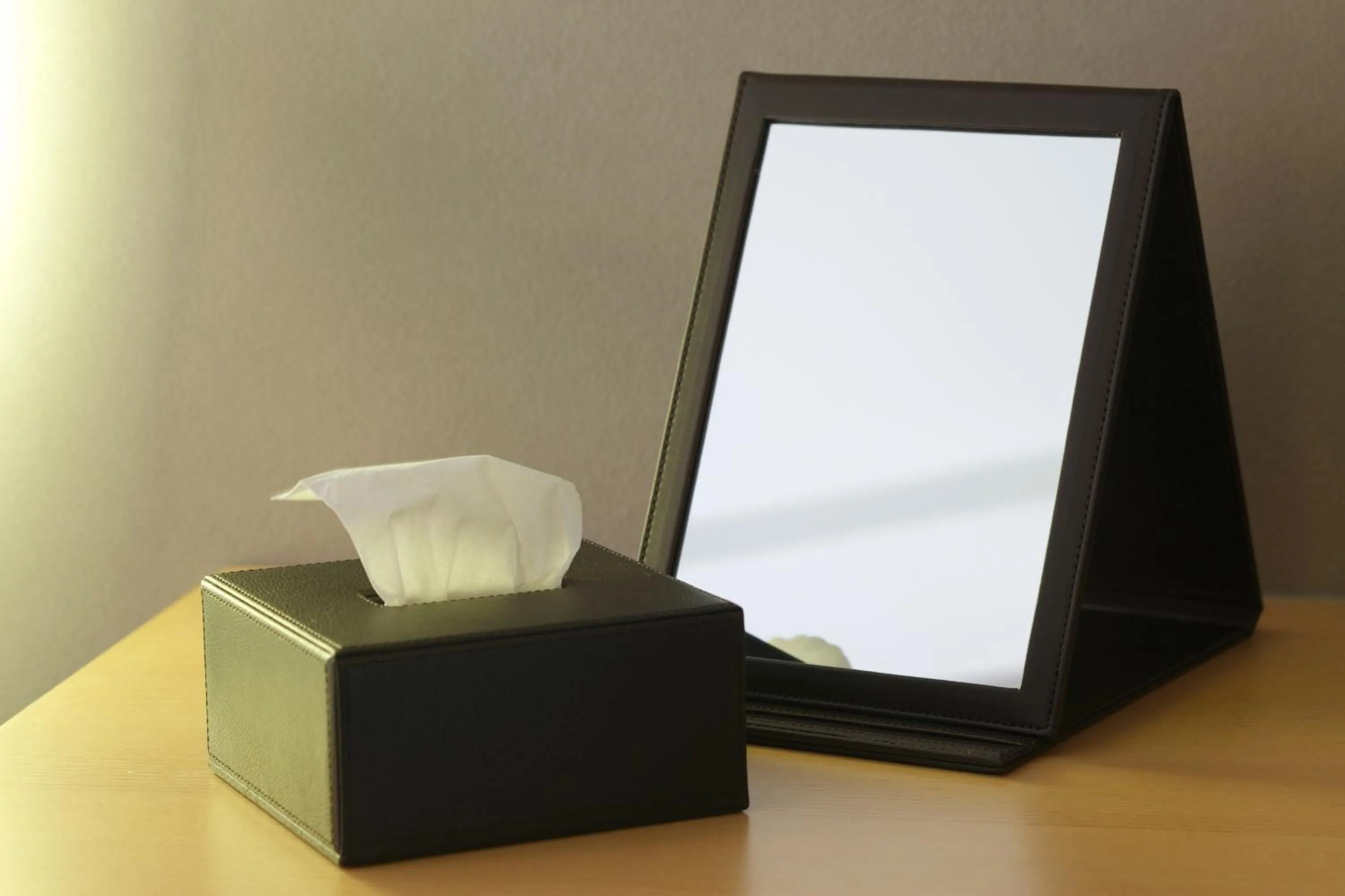 Decorative detail in HOTEL AMANEK Ginza East