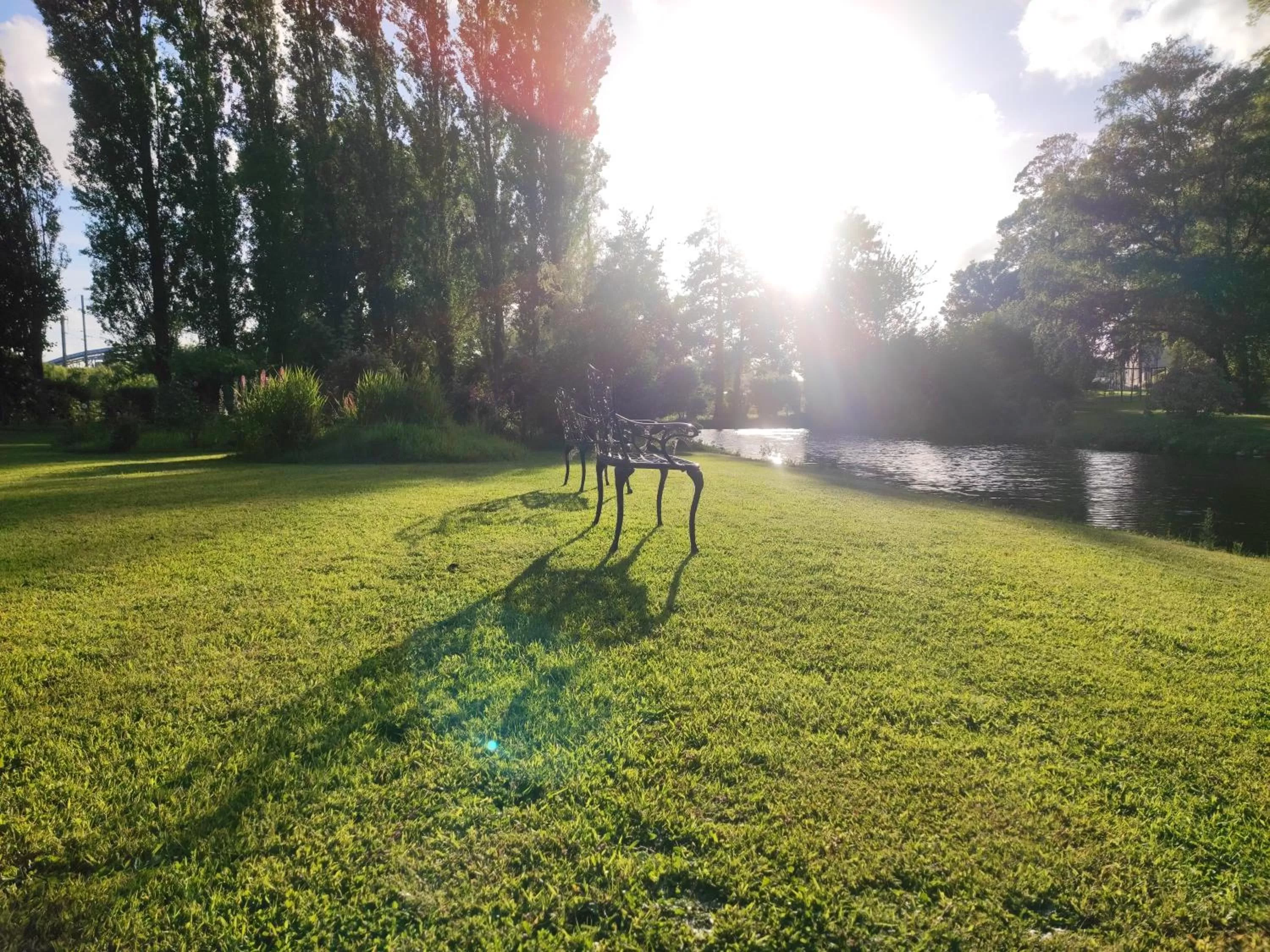 Garden in Château de Bellefontaine - Teritoria