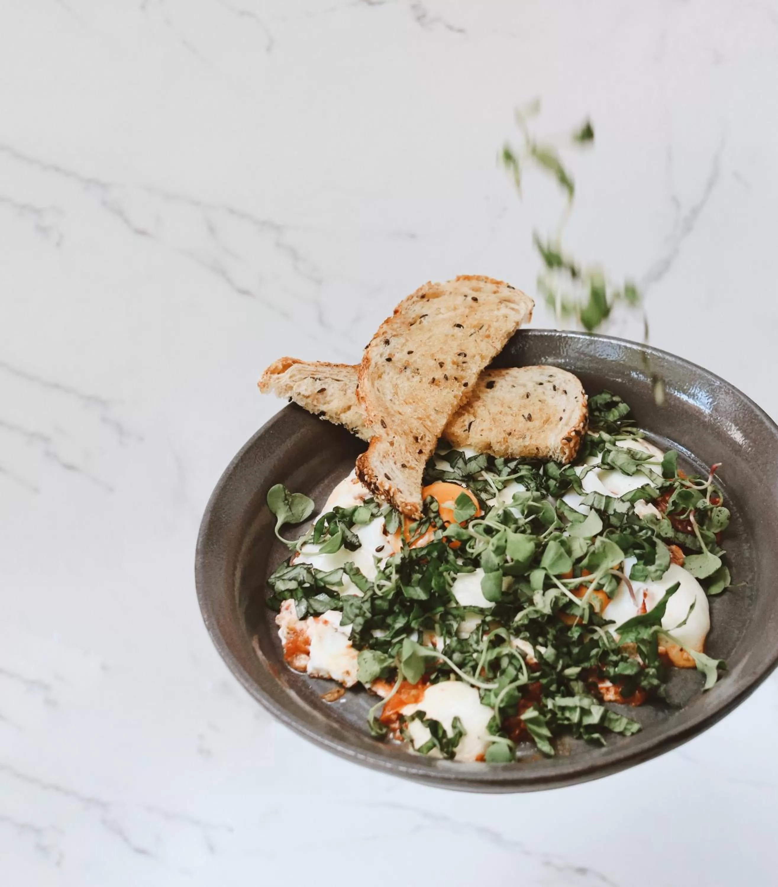 Restaurant/places to eat, Food in Celestino Boutique Hotel