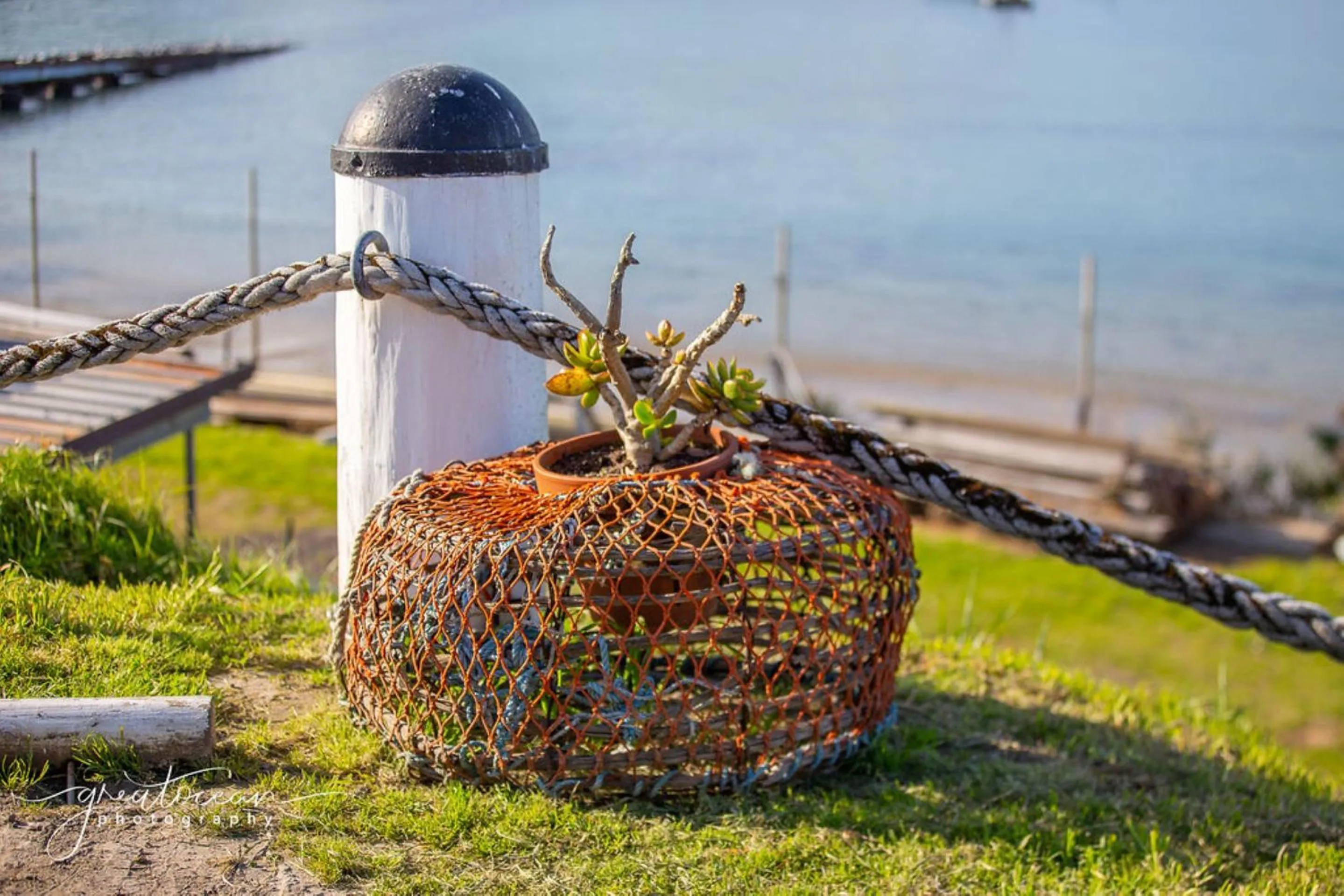Other in Best Western Apollo Bay Motel