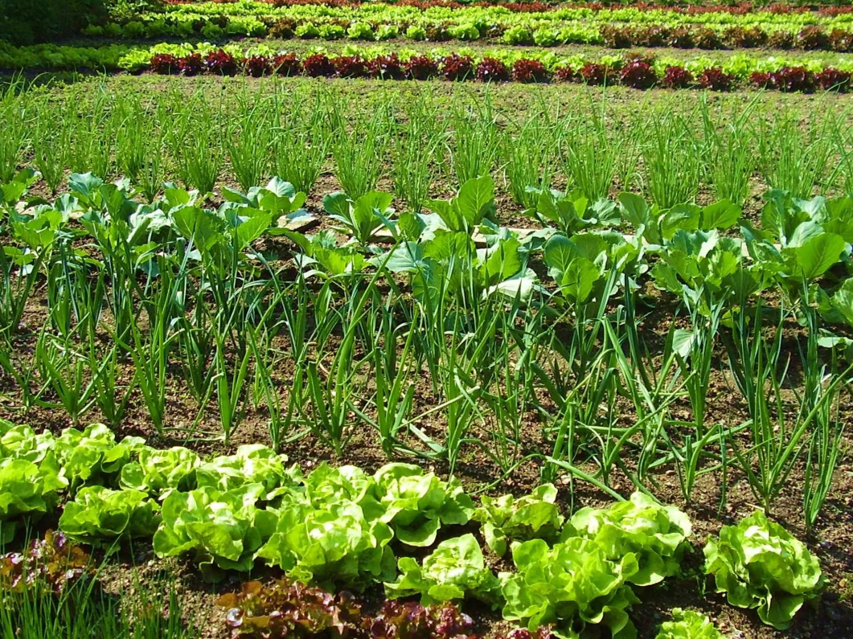 Natural landscape in Urban Style L'Etape