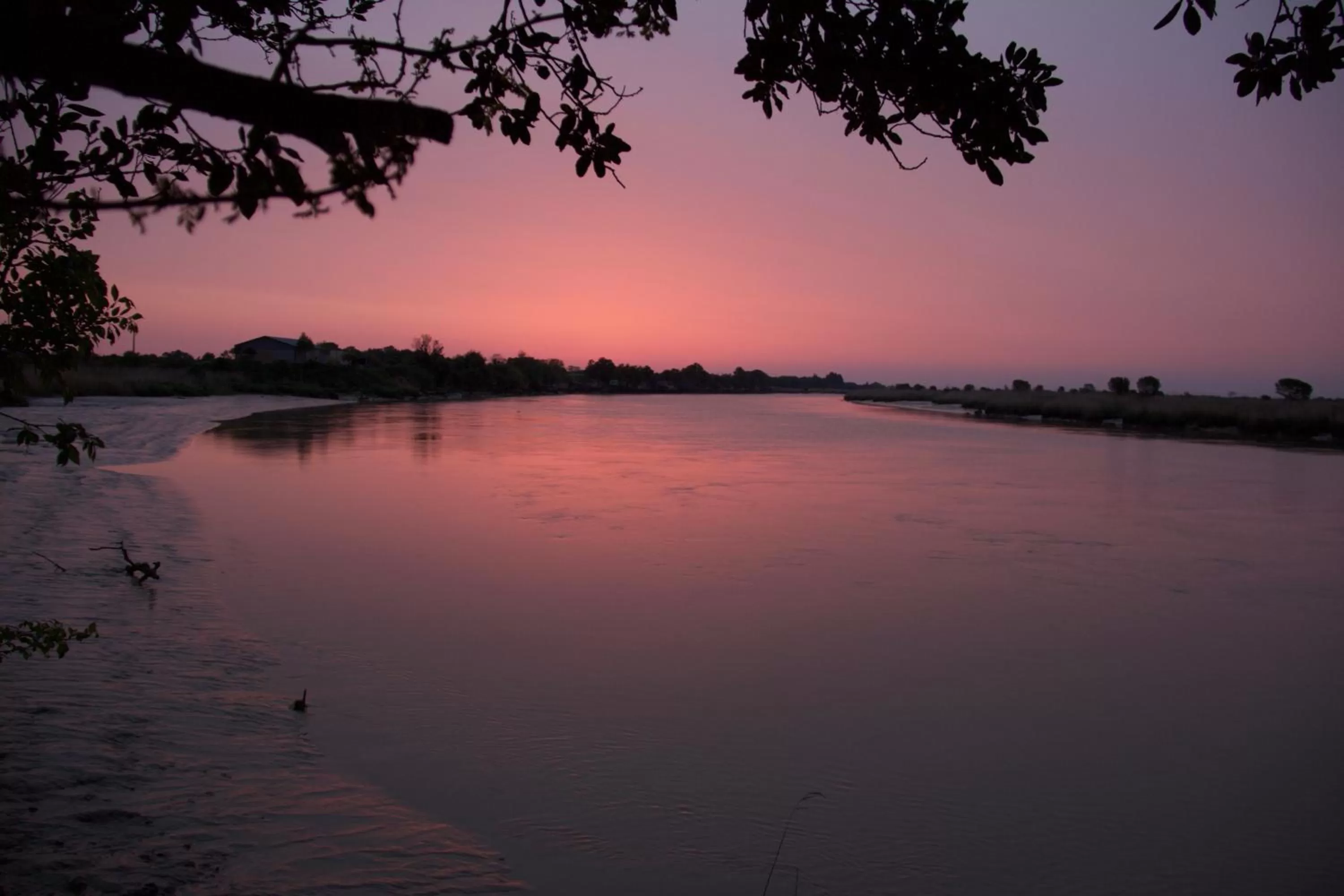 View (from property/room) in La Charentine