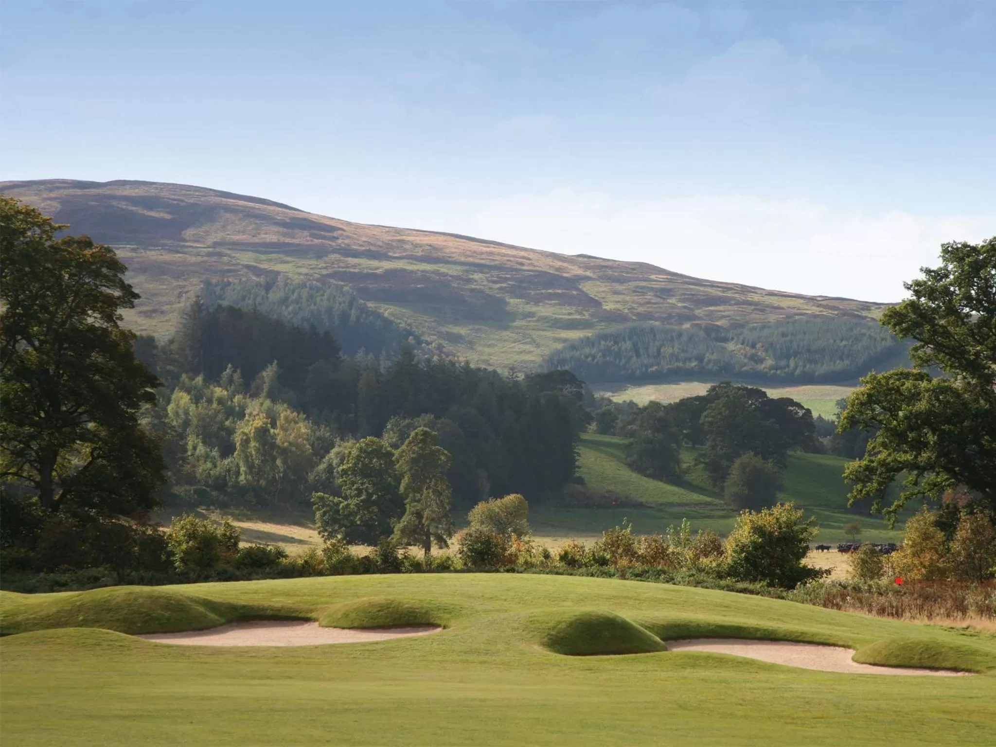 Golfcourse in Macdonald Cardrona Hotel, Golf & Spa