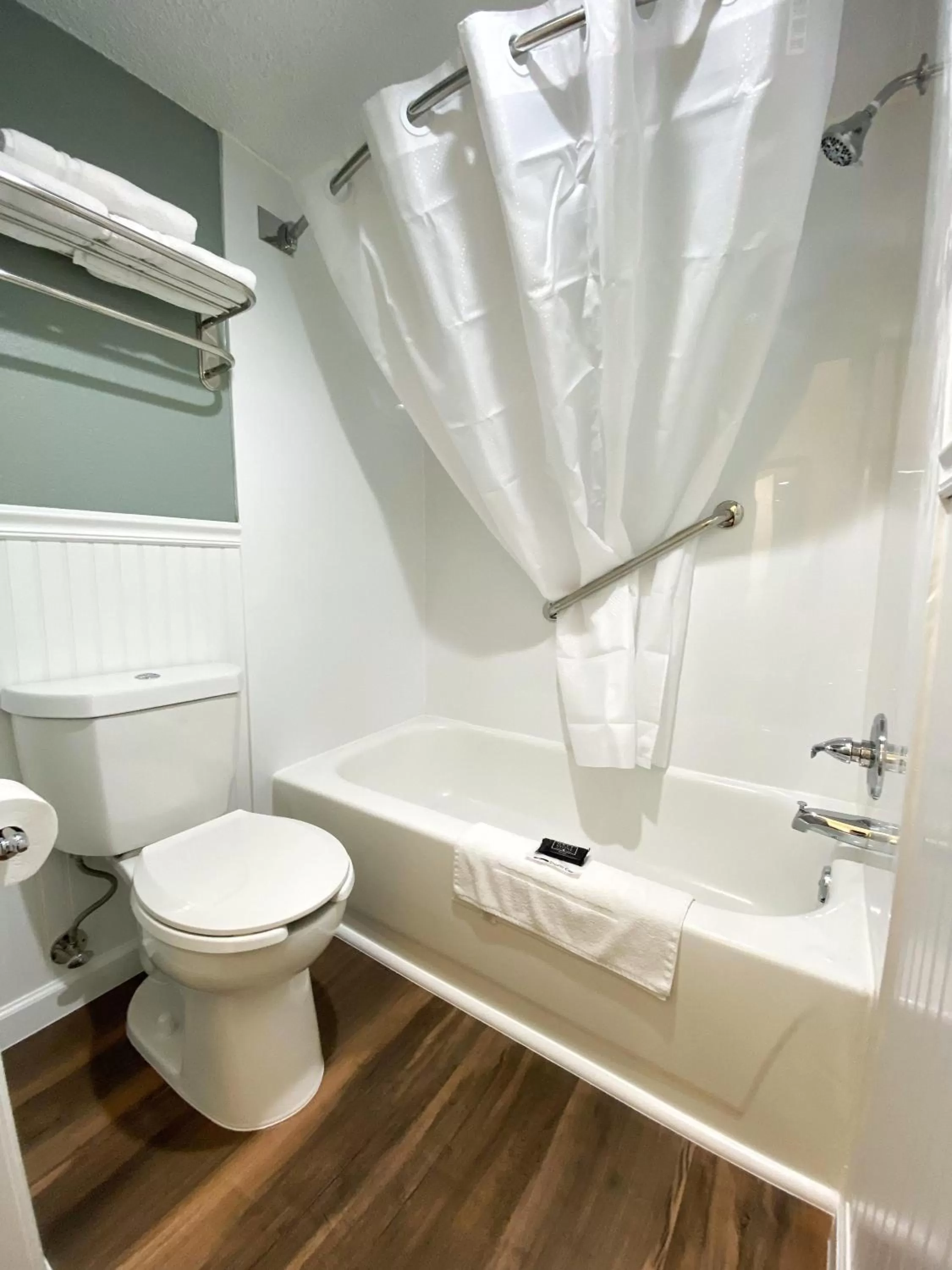 Toilet in Roadstar Hotel Zephyrhills